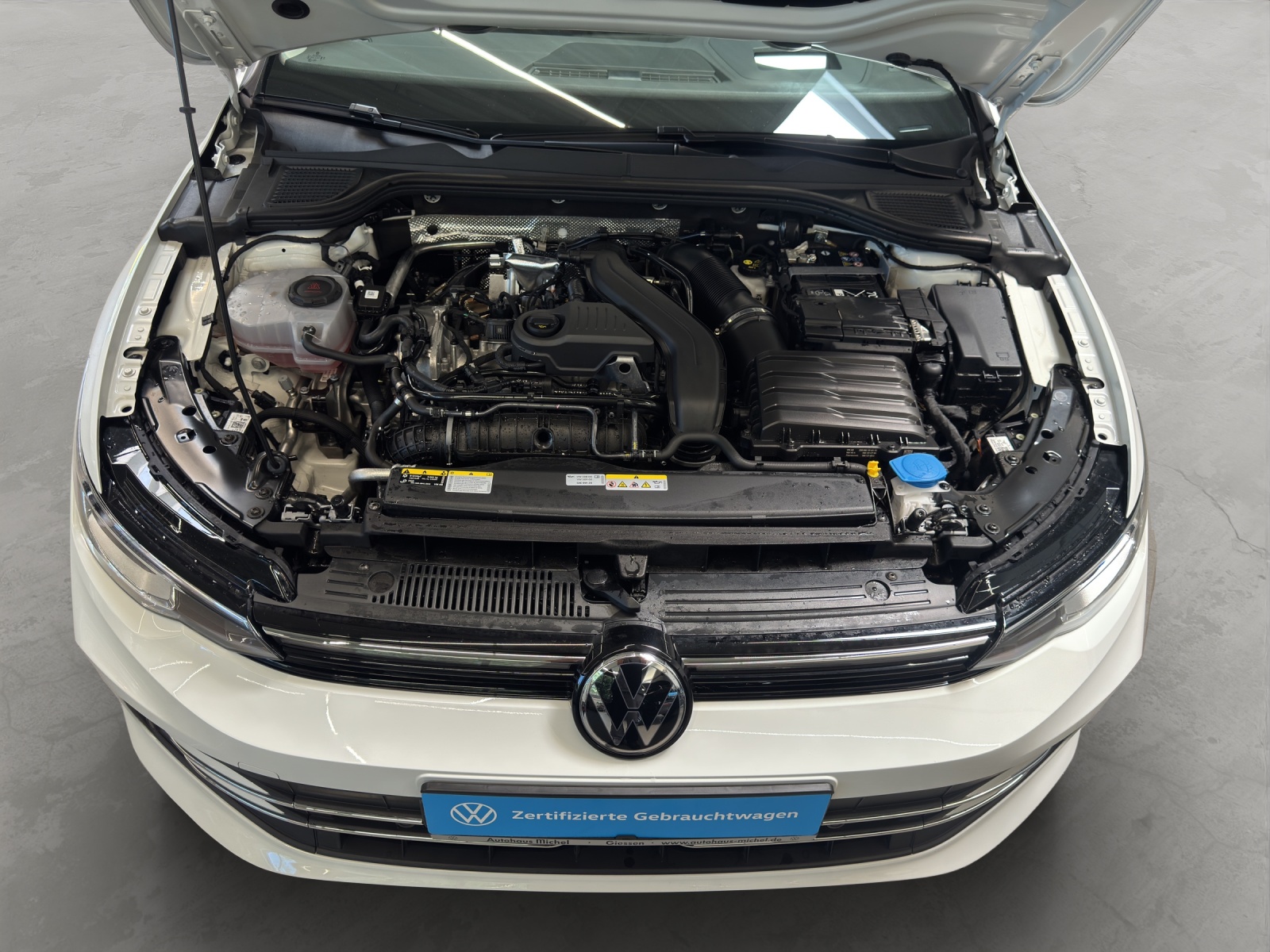 Golf 8 eTSI DSG Style IQ-Light HeadUp AHK ACC Ergositz