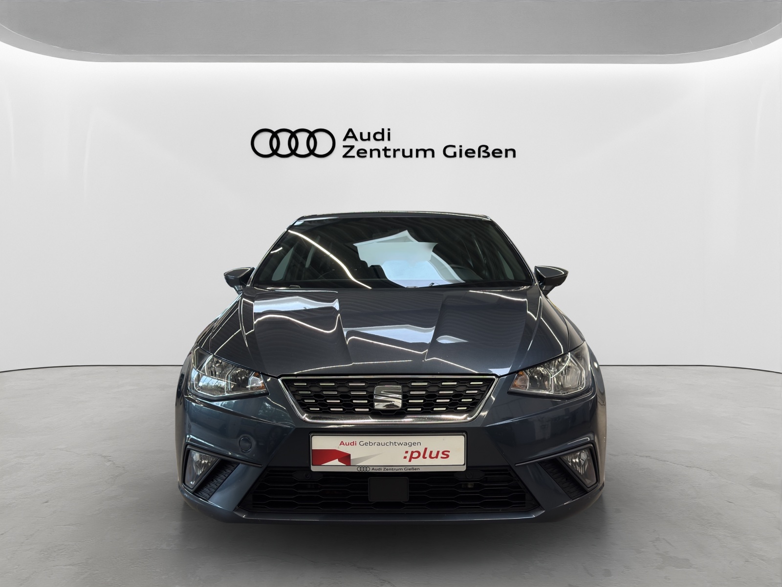 Ibiza 1.0 TSI Xcellence Rückfahrkamera Full Link