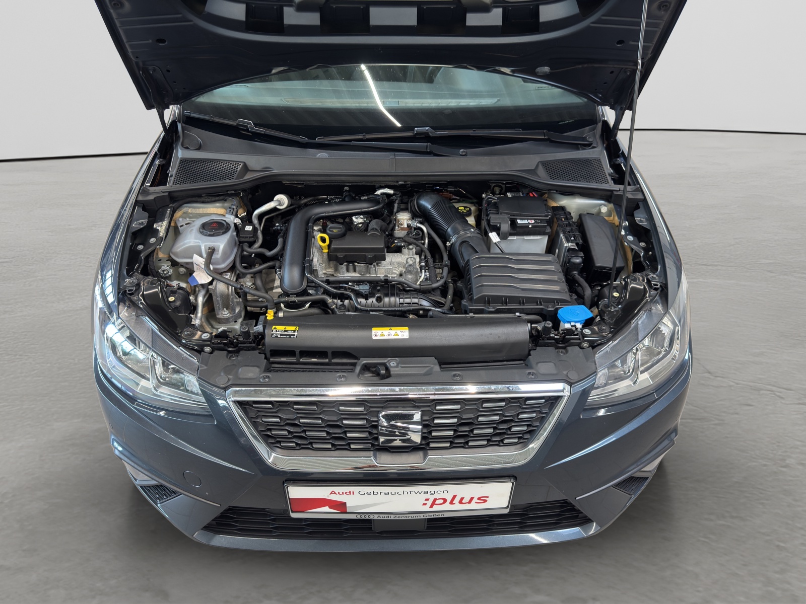 Ibiza 1.0 TSI Xcellence Rückfahrkamera Full Link