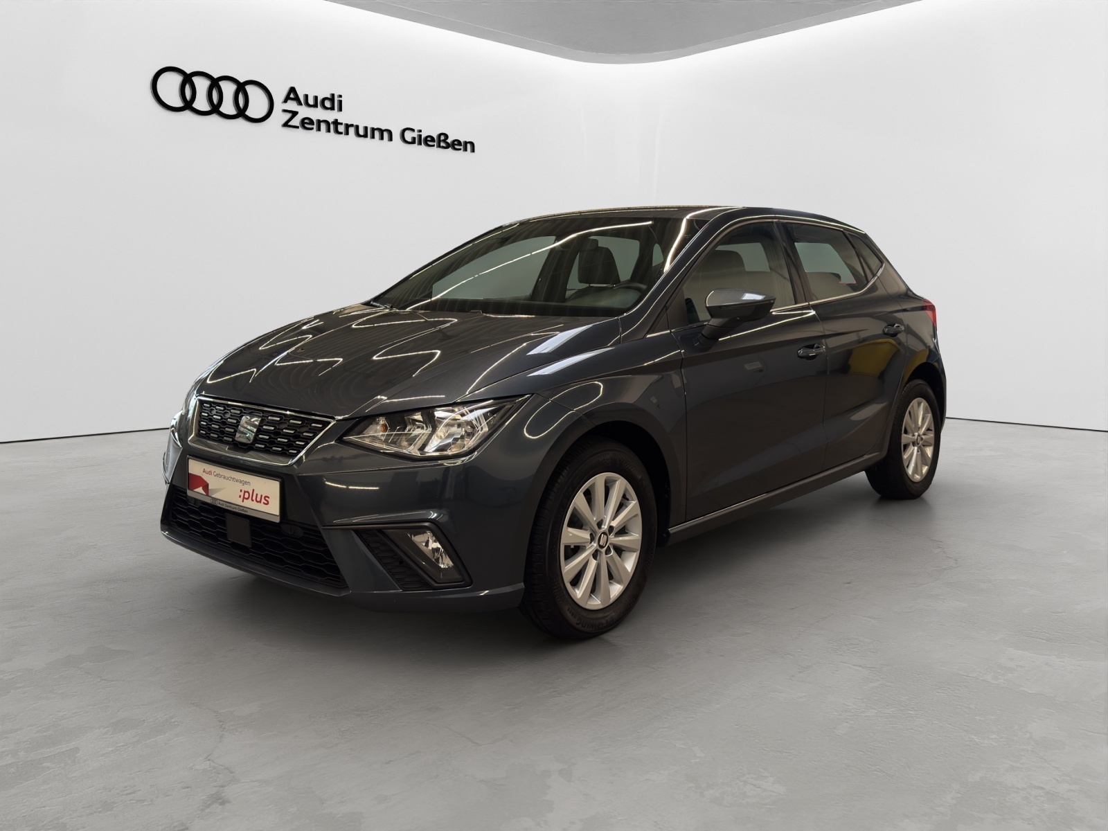 Ibiza 1.0 TSI Xcellence Rückfahrkamera Full Link