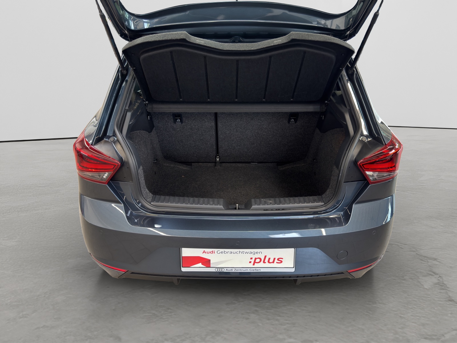 Ibiza 1.0 TSI Xcellence Rückfahrkamera Full Link