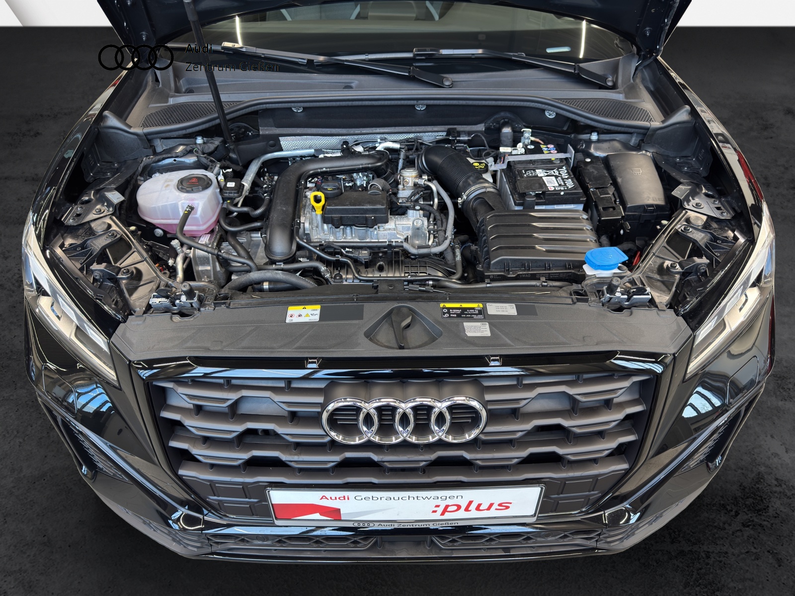 Q2 30 TFSI S line Black AHK Matrix-LED Navi Kamera