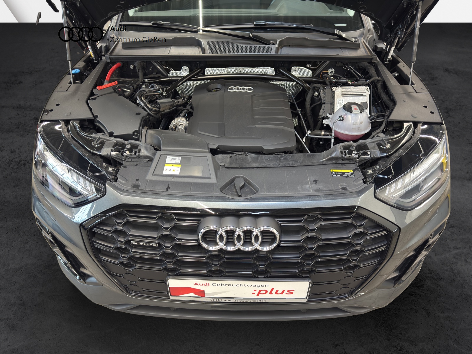 Q5 40 TDI quattro S line Black AHK Matrix Standheizung