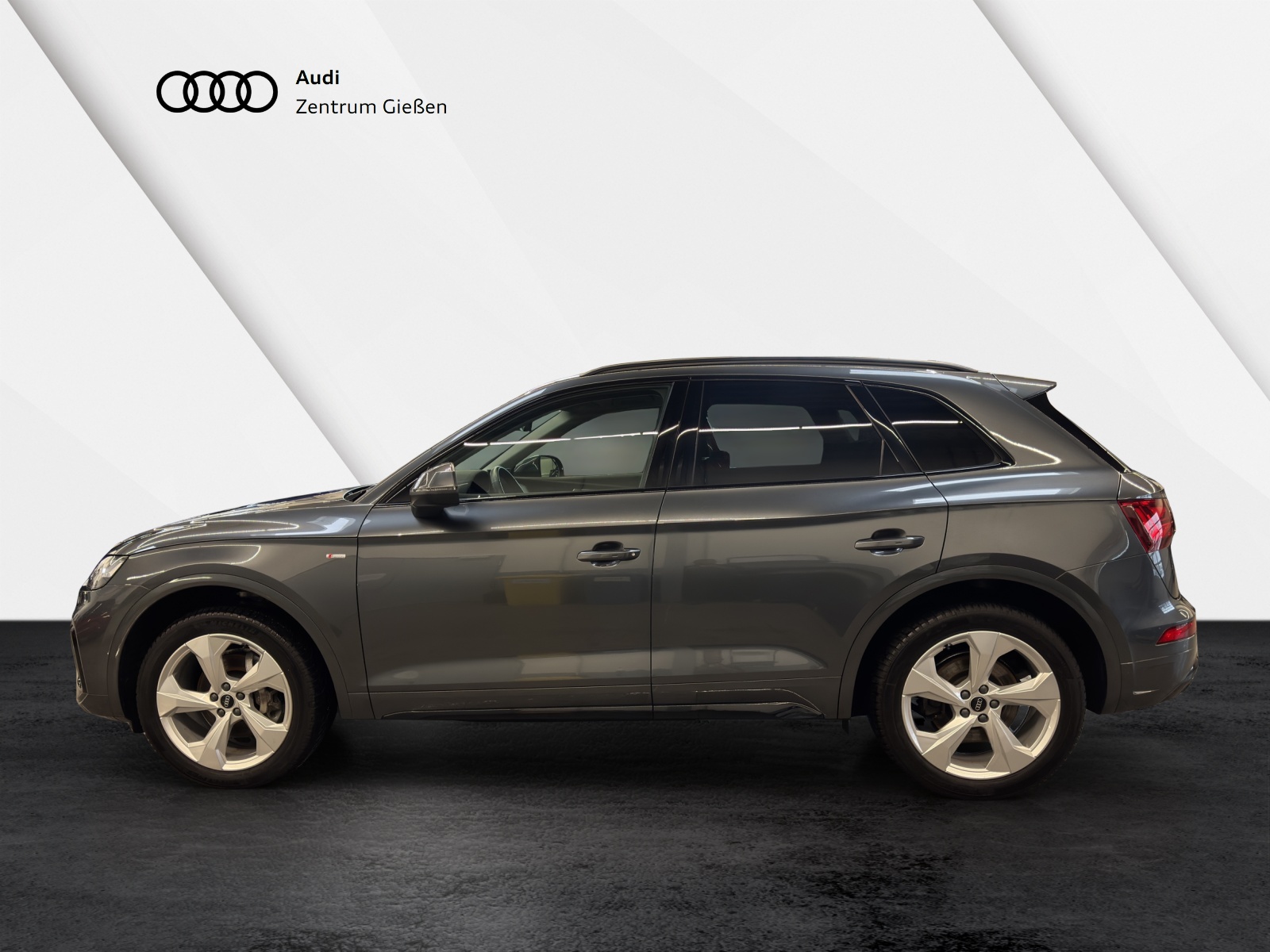 Q5 40 TDI quattro S line Black AHK Matrix Standheizung