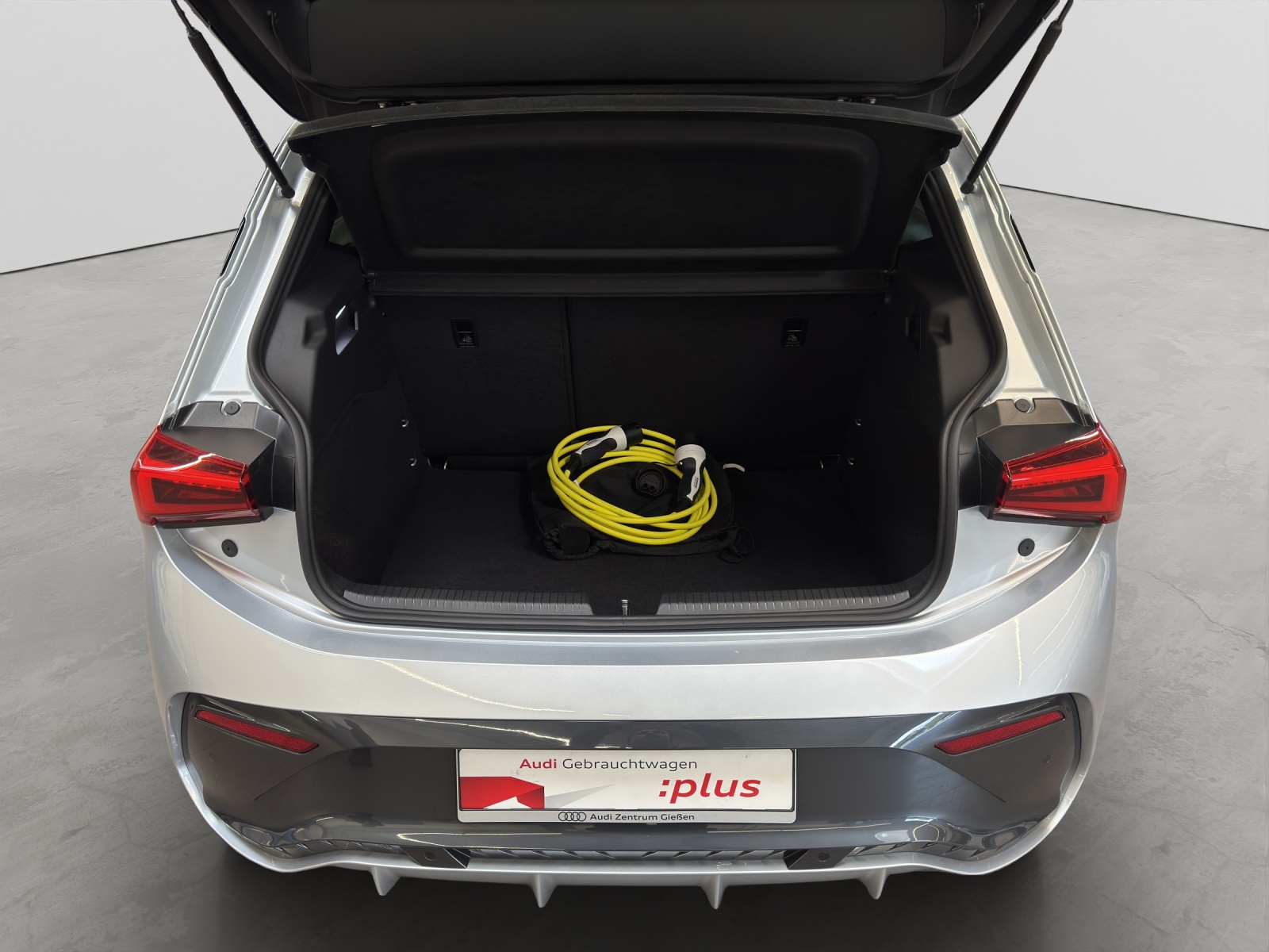 Born e-Boost 170kW (77kWh) HuD Tech-Paket M Navi ACC