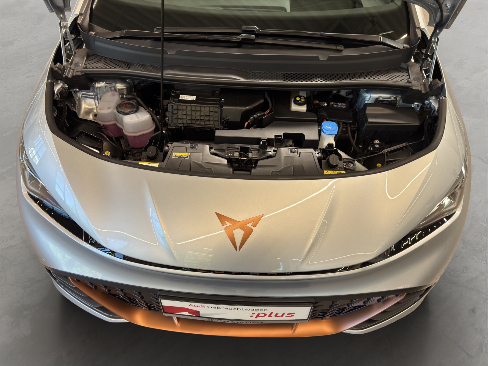 Born e-Boost 170kW (77kWh) HuD Tech-Paket M Navi ACC