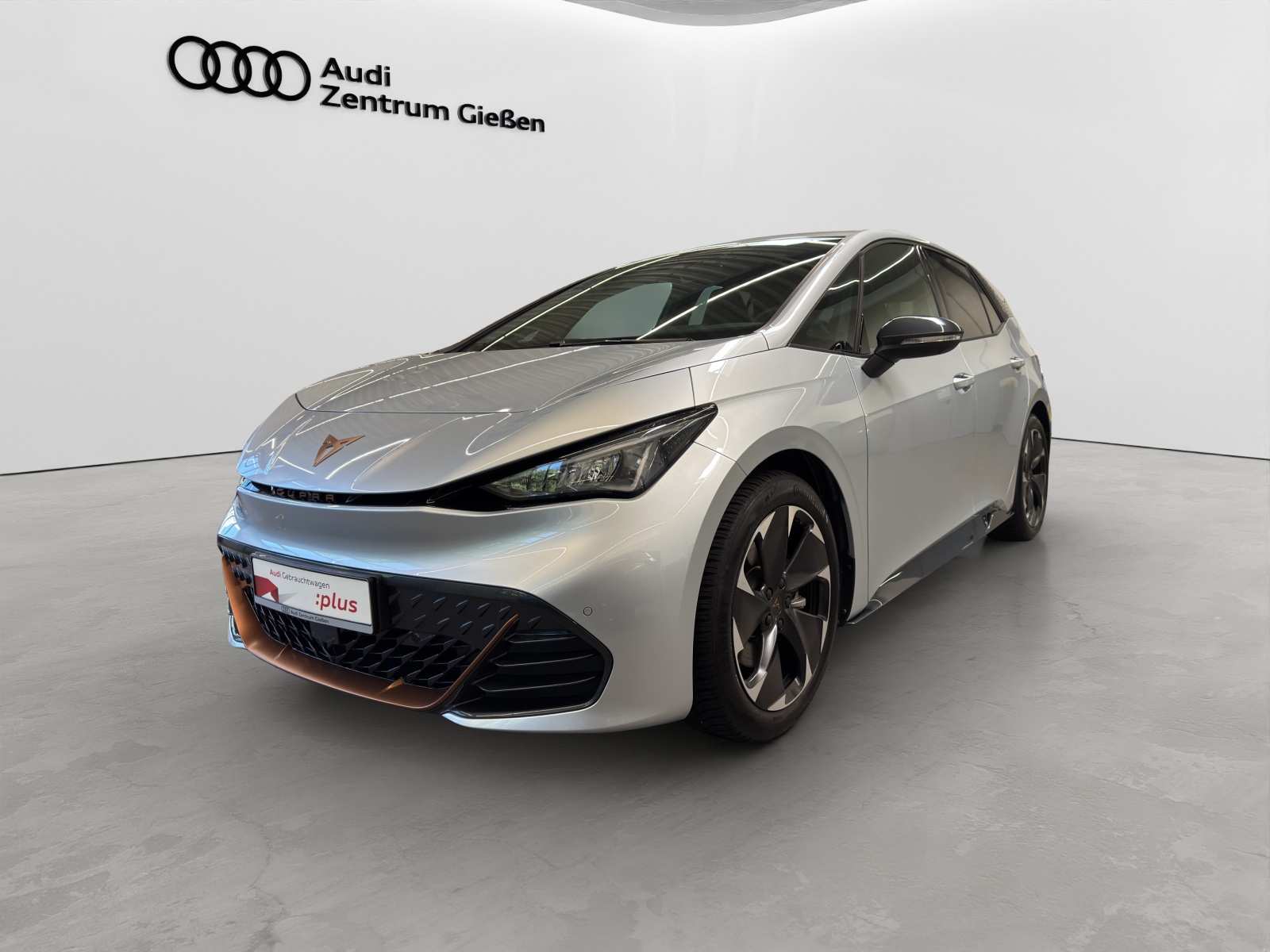 Born e-Boost 170kW (77kWh) HuD Tech-Paket M Navi ACC