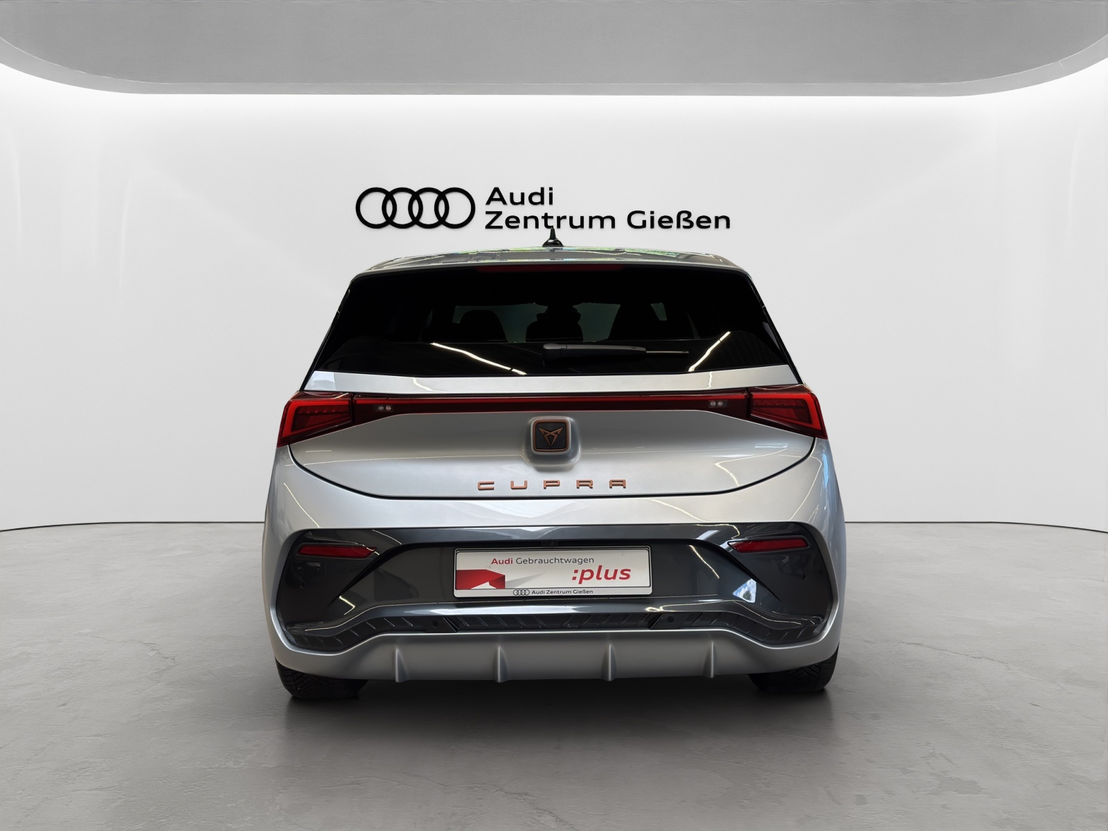 Born e-Boost 170kW (77kWh) HuD Tech-Paket M Navi ACC