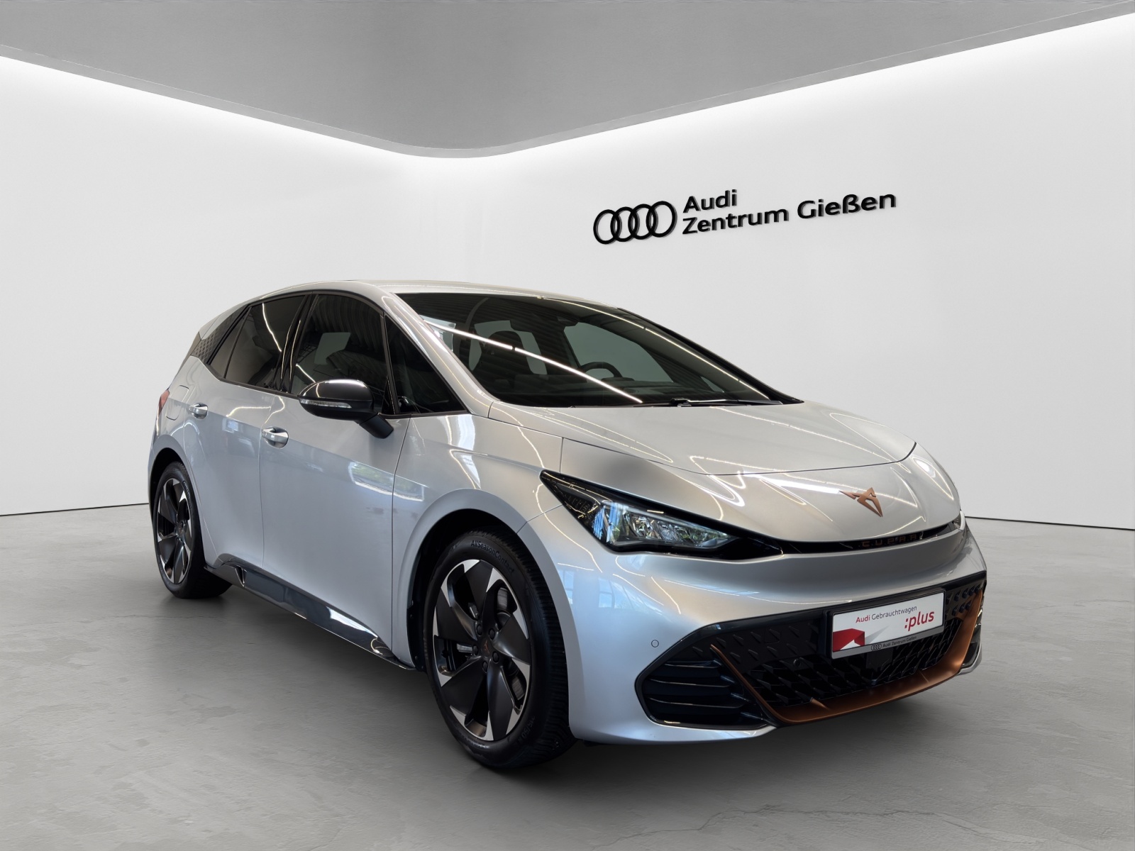 Born e-Boost 170kW (77kWh) HuD Tech-Paket M Navi ACC