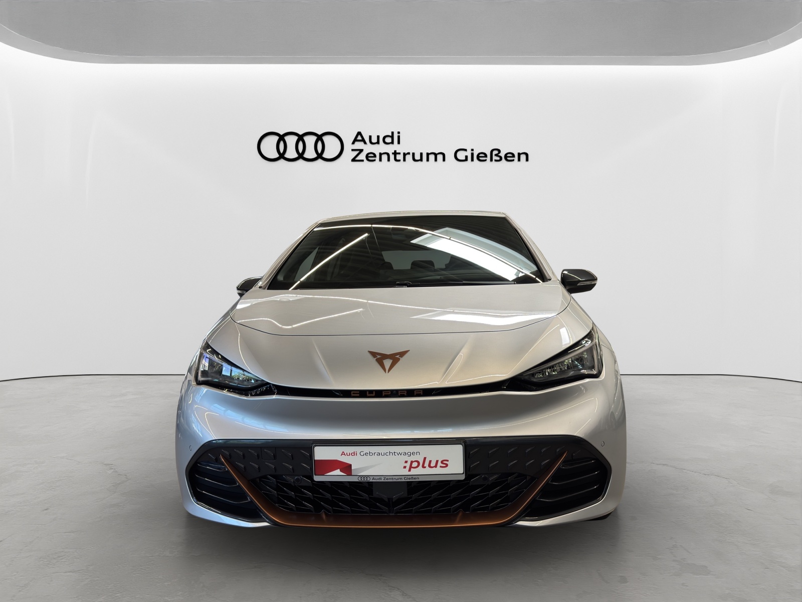 Born e-Boost 170kW (77kWh) HuD Tech-Paket M Navi ACC