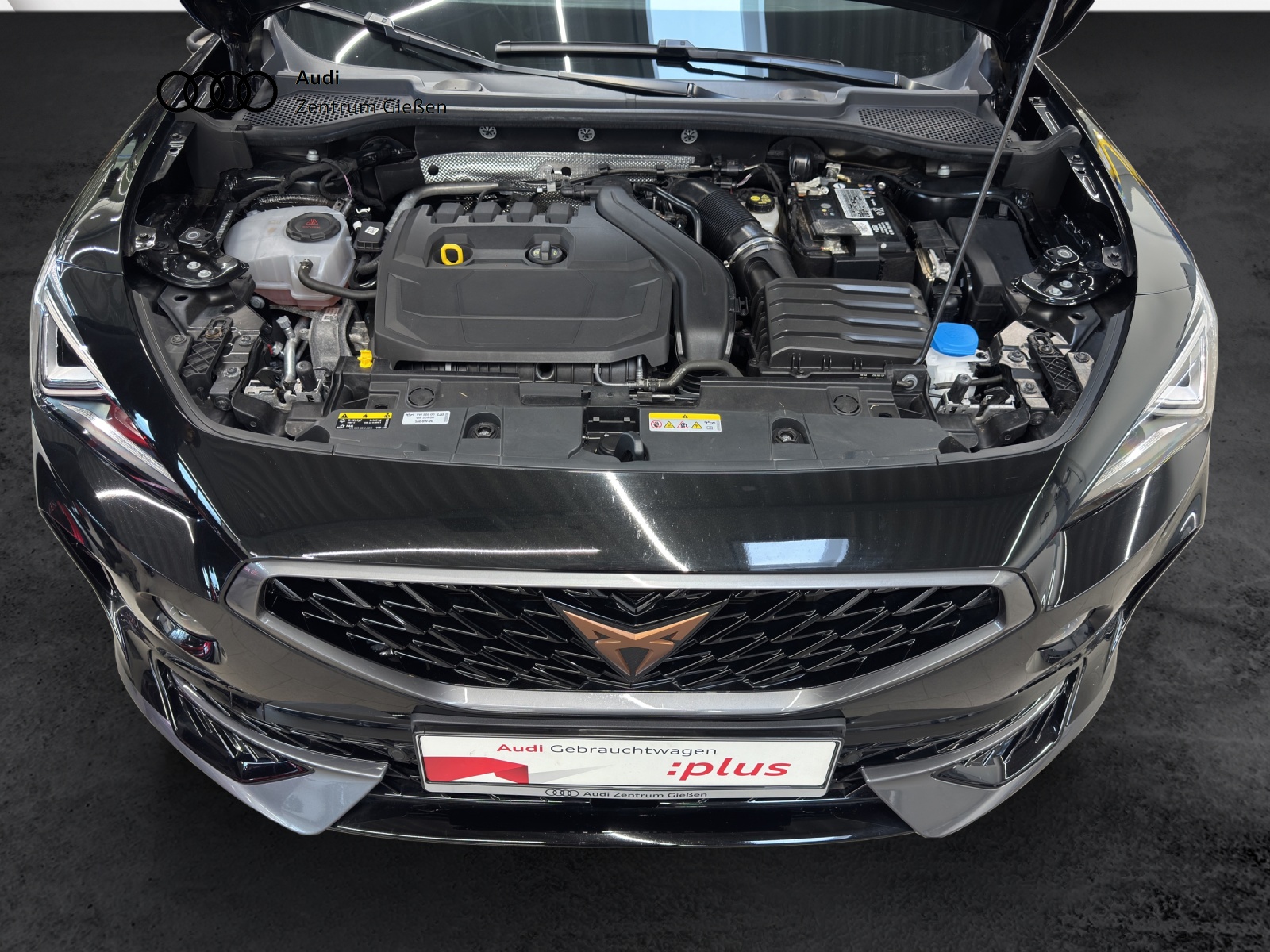 Formentor 1.5 TSI Basis Navi ACC LED