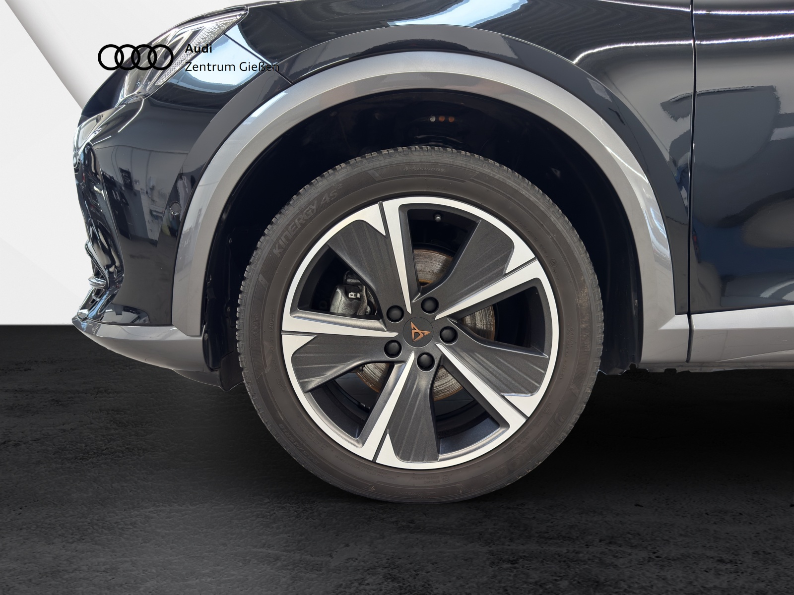 Formentor 1.5 TSI Basis Navi ACC LED