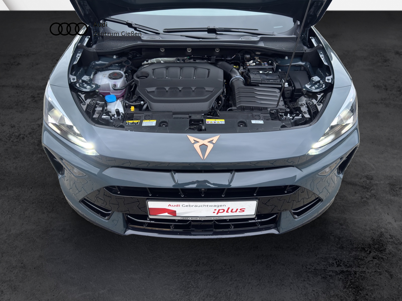 Formentor 2.0 TSI 4Drive DSG VZ PANO MATRIX AHK NAVI