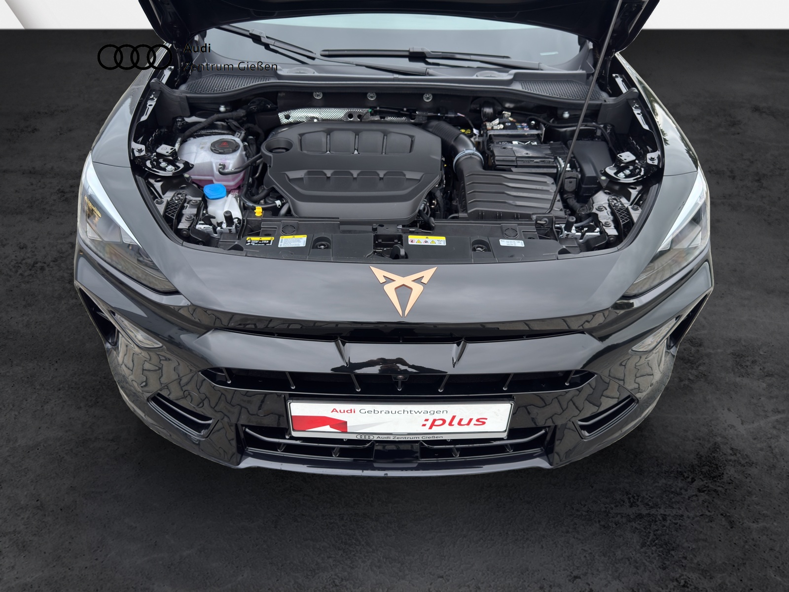 Formentor 2.0 TSI 4Drive DSG VZ PANO MATRIX AHK NAVI