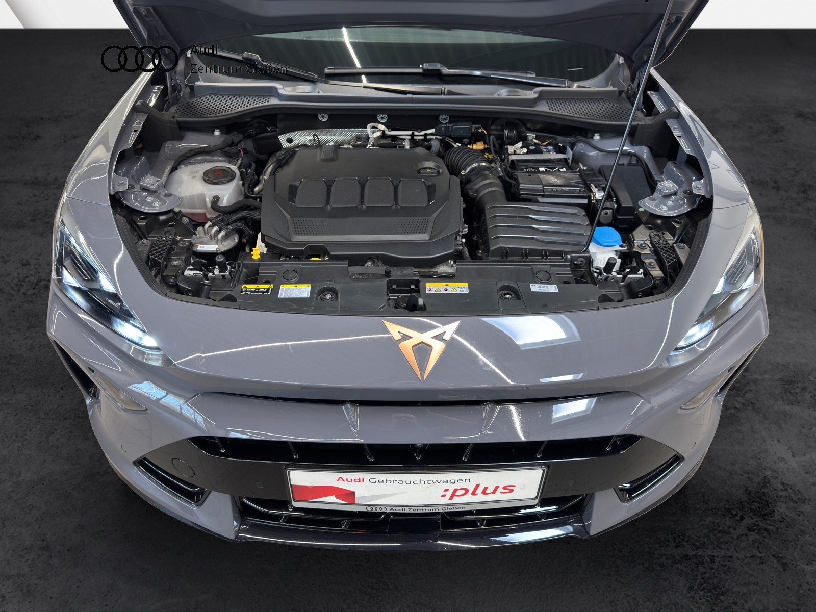 Formentor 2.0 TDI DSG EDGE Sennheiser Navi LED