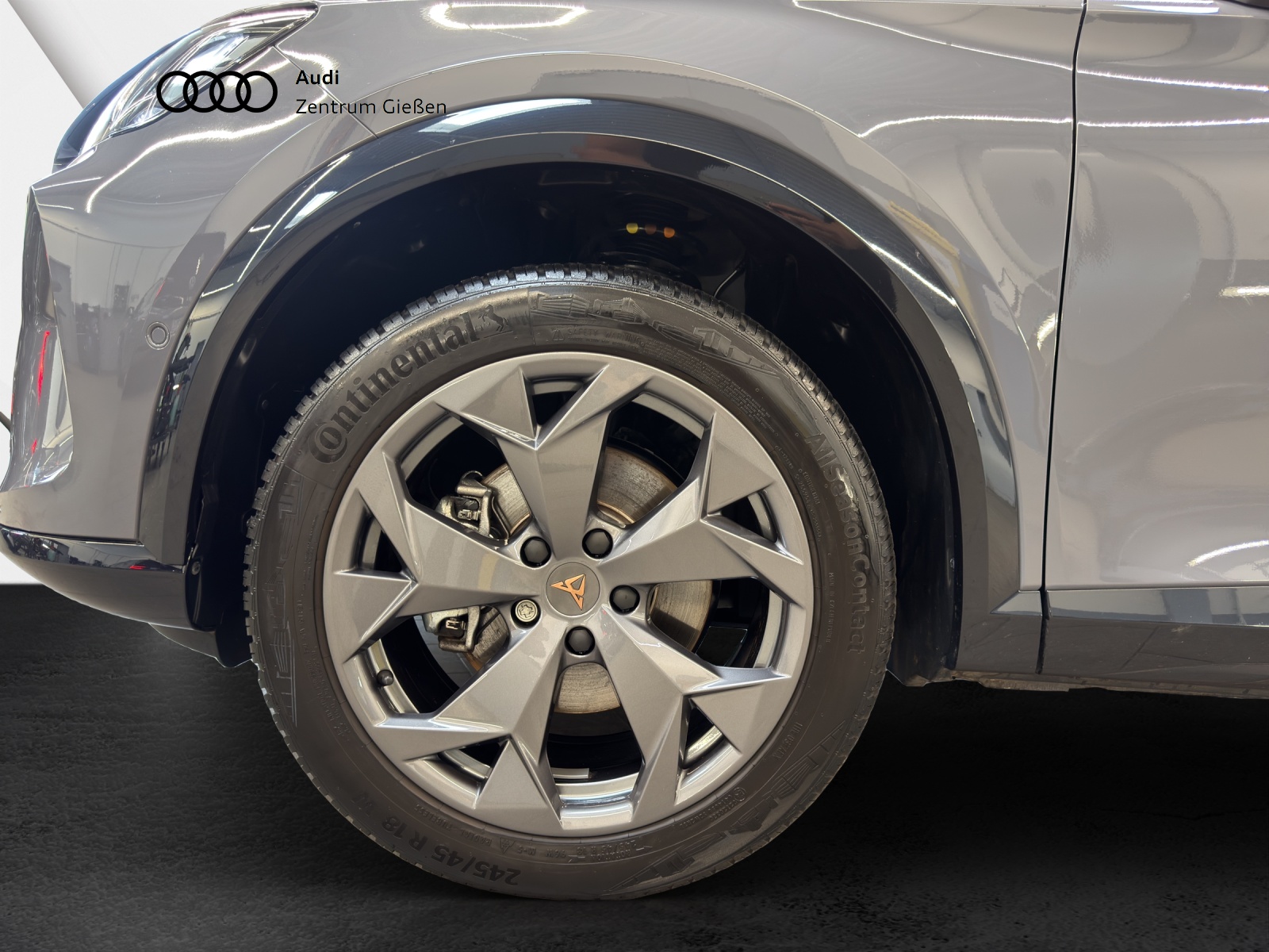 Formentor 2.0 TDI DSG EDGE Sennheiser Navi LED