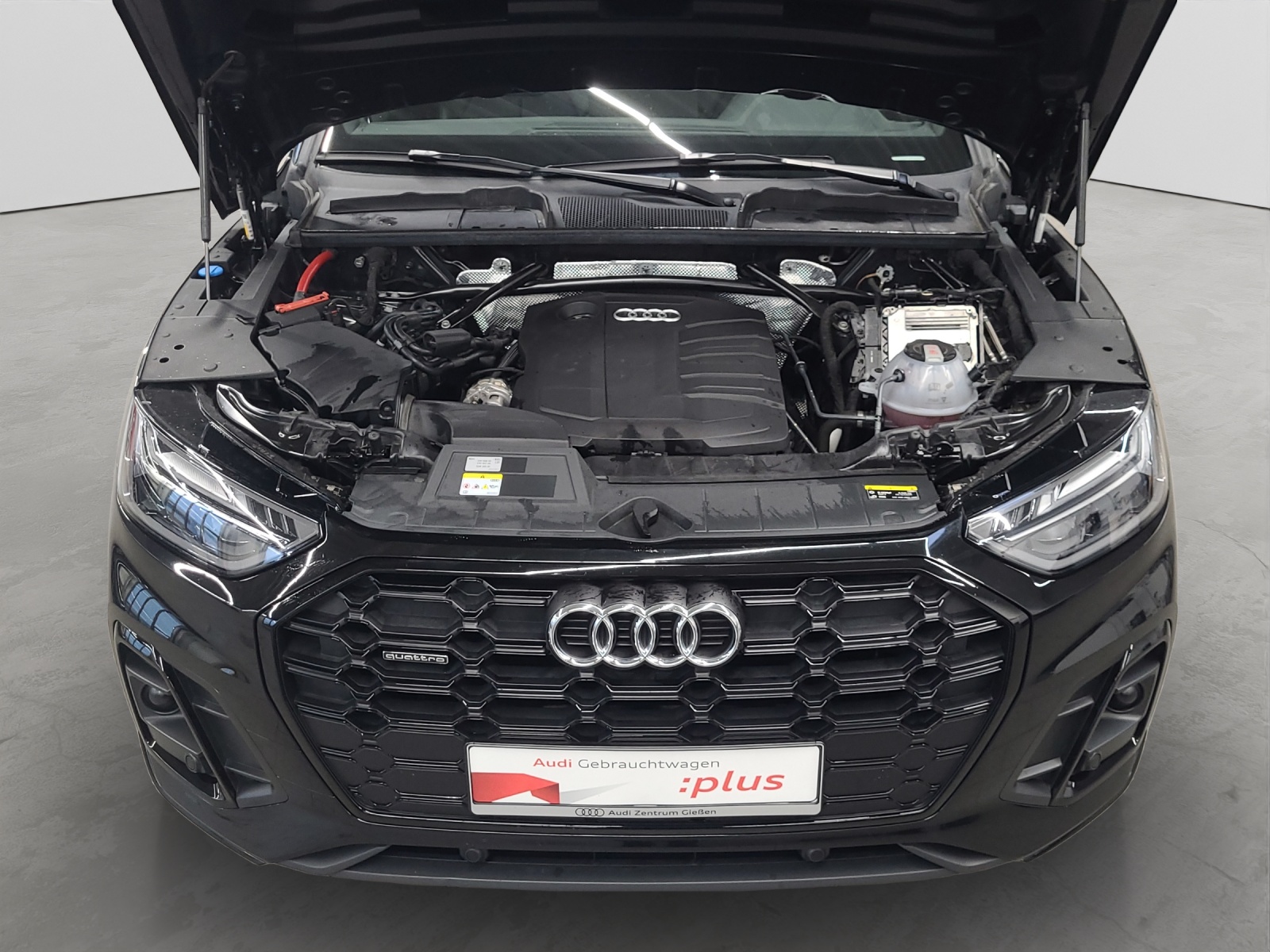 Q5 40 TDI quattro S line Black ACC AHK LED Navi