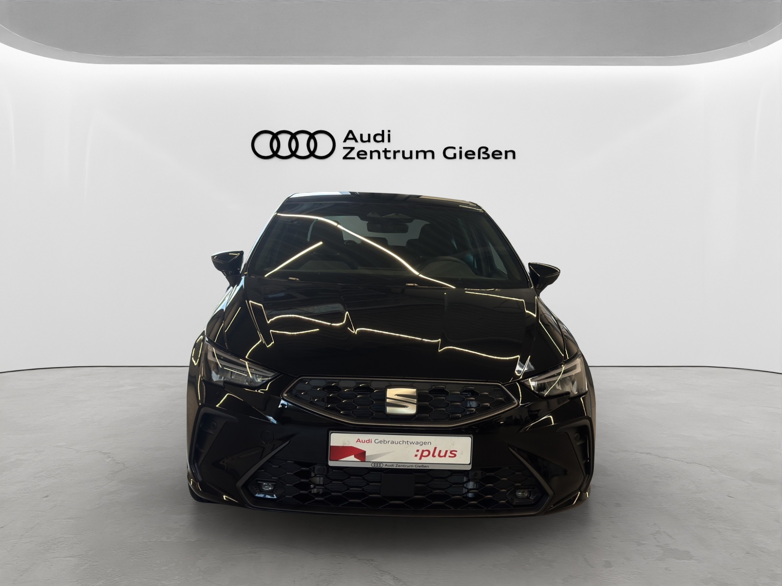 Ibiza 1.0 TSI DSG FR Rückfahrkamera LED ACC