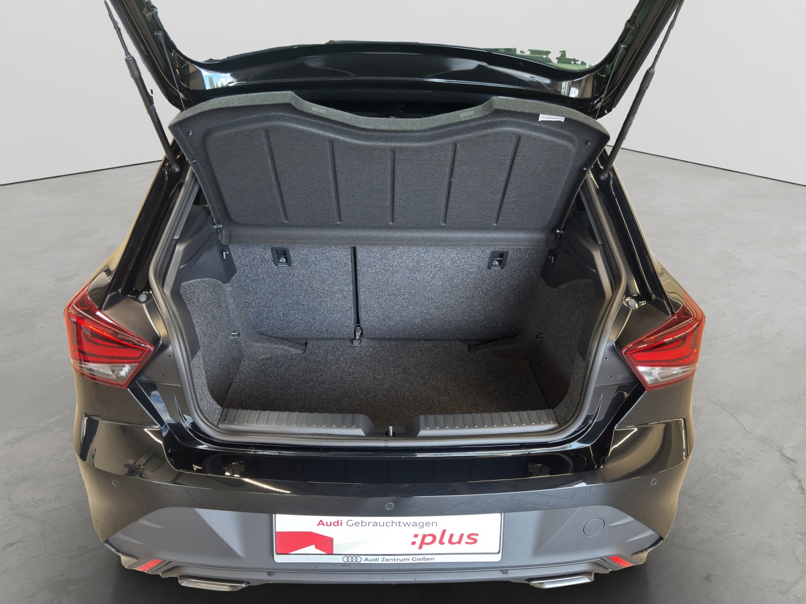 Ibiza 1.0 TSI DSG FR Rückfahrkamera LED ACC