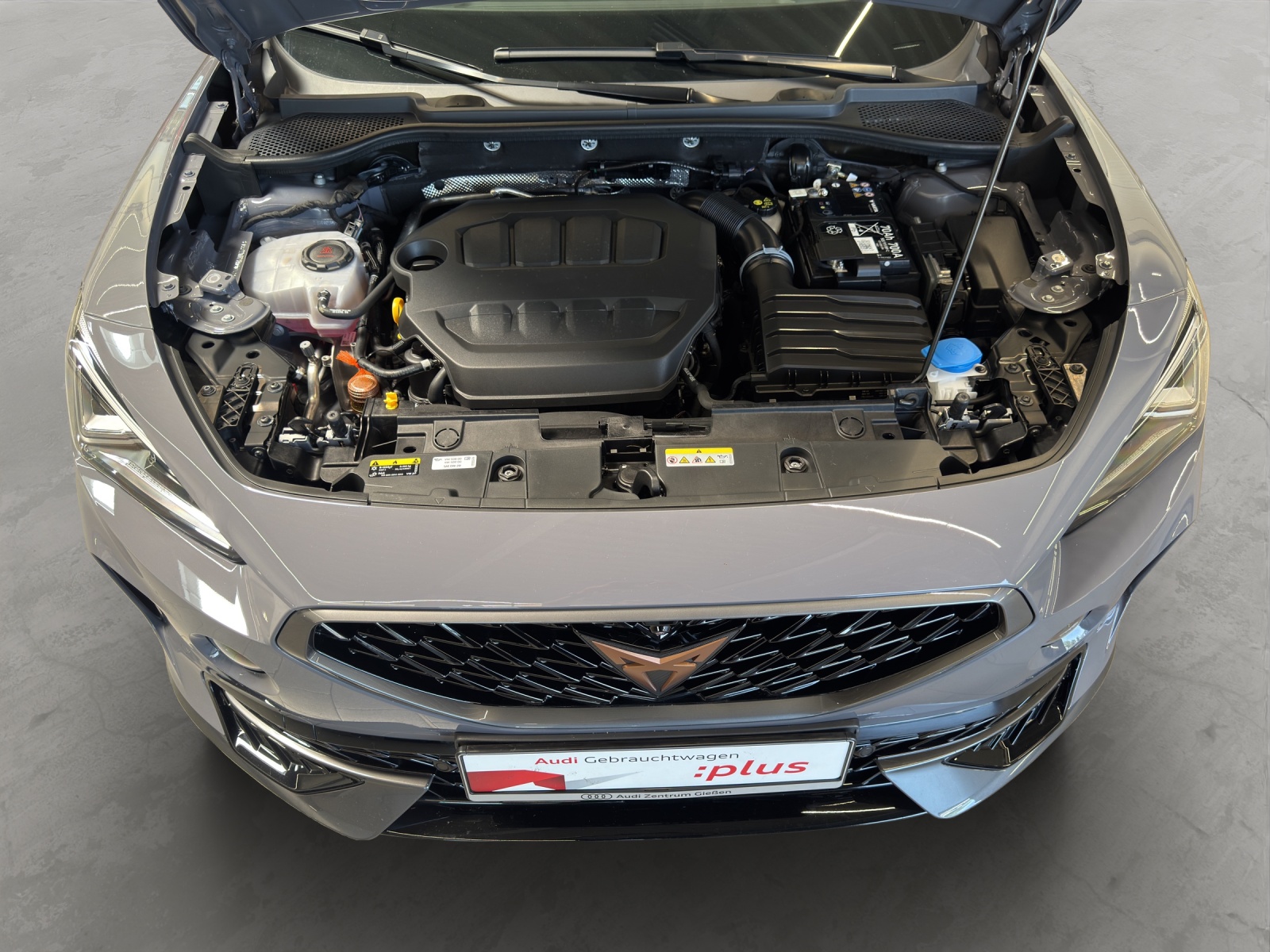 Formentor 2.0 TSI DSG VZ ACC DCC Navi 360°Kamera