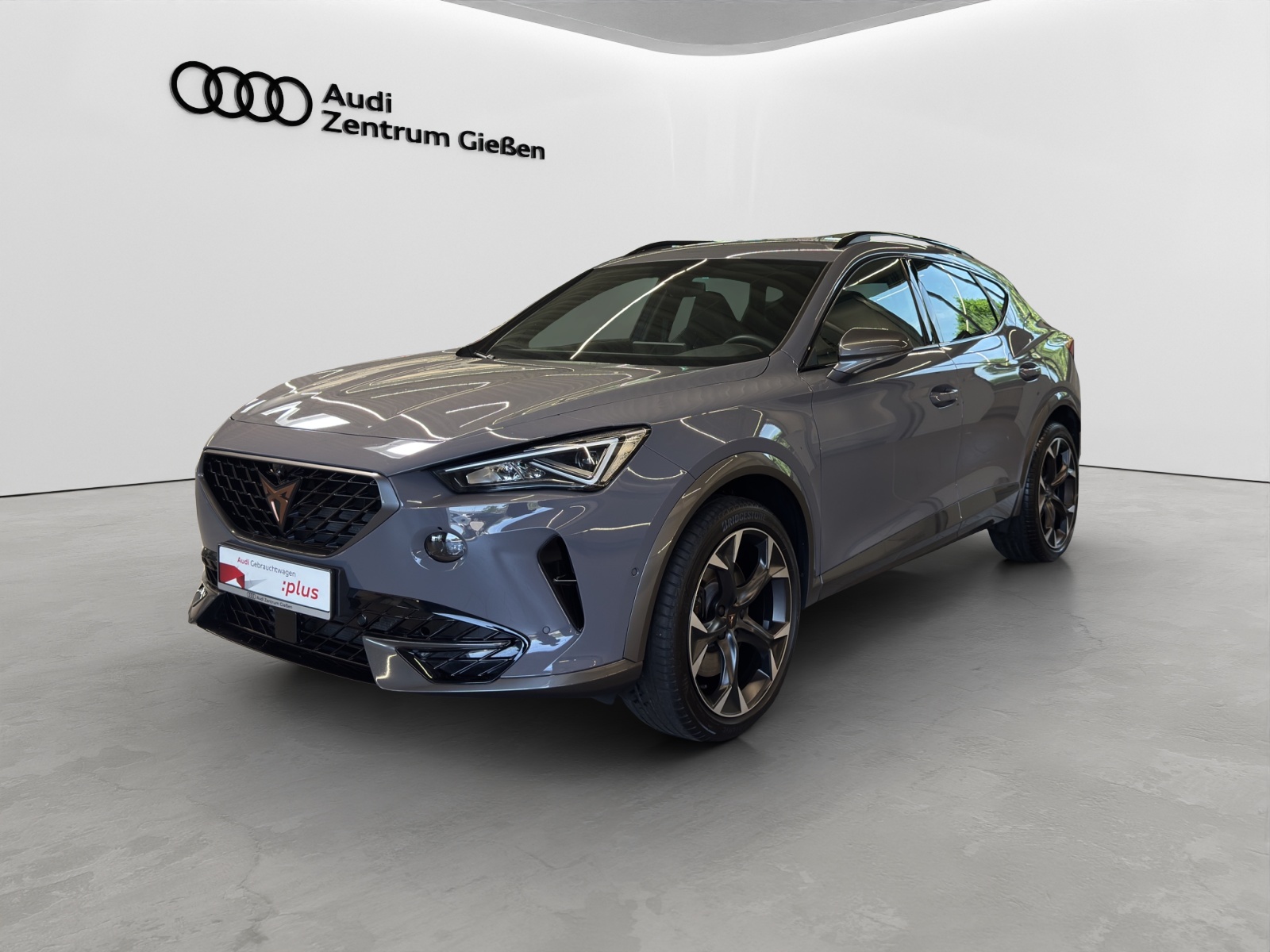 Formentor 2.0 TSI DSG VZ ACC DCC Navi 360°Kamera