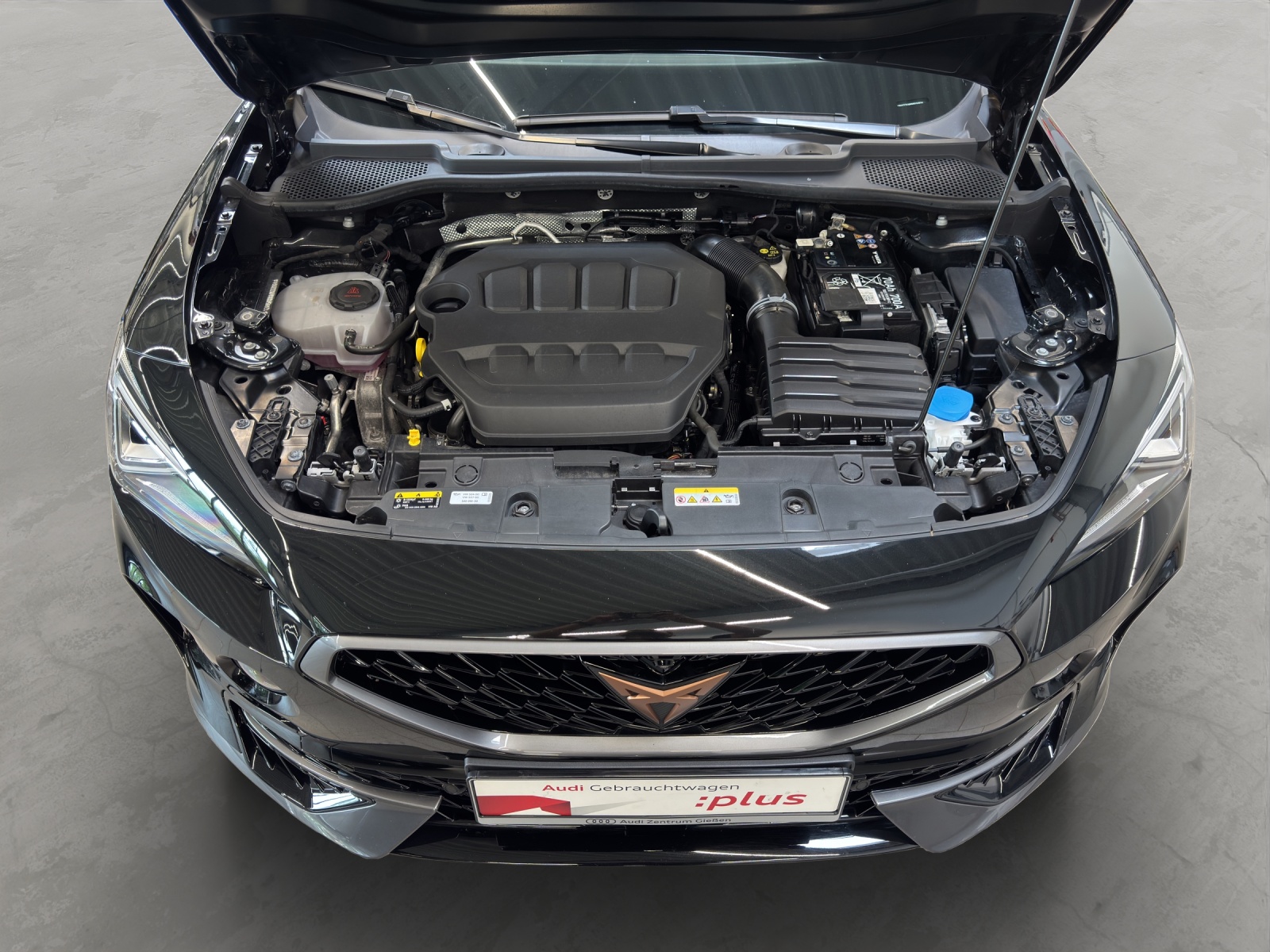 Formentor 2.0 TSI 4Drive DSG VZ AHK Beats Matrix-LED Navi
