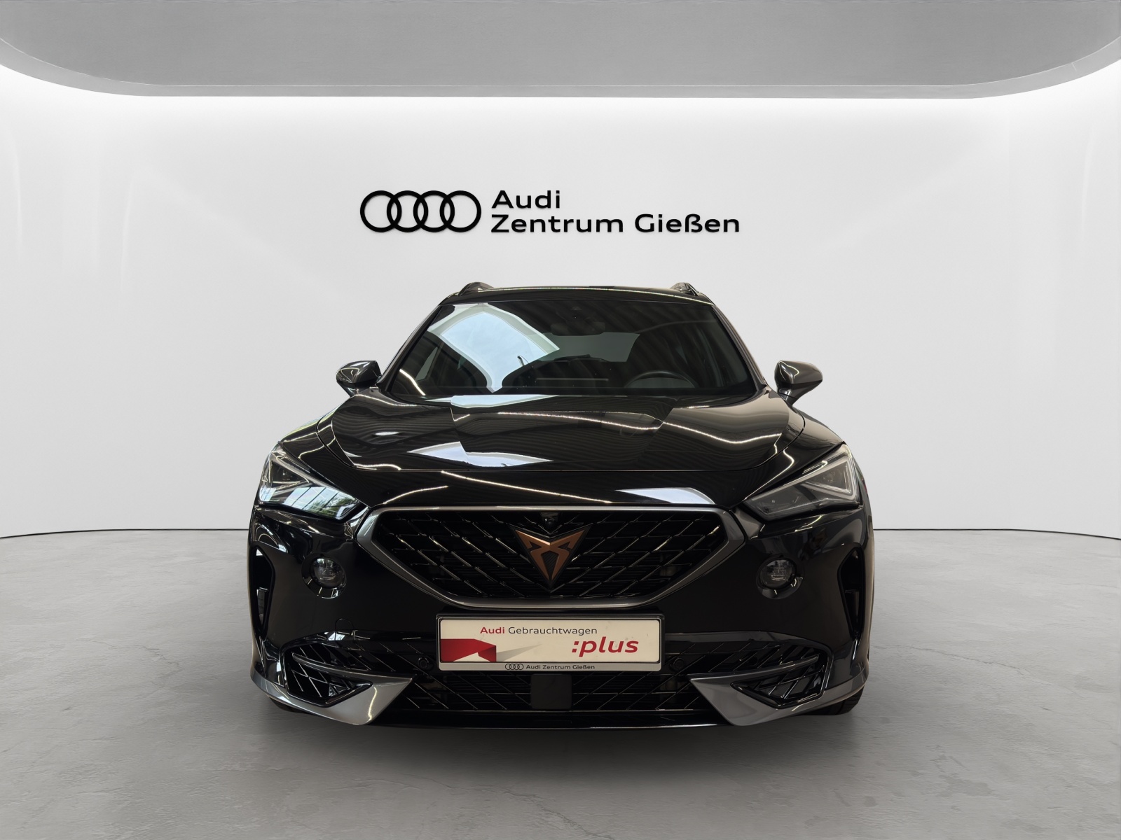 Formentor 2.0 TSI 4Drive DSG VZ AHK Beats Matrix-LED Navi