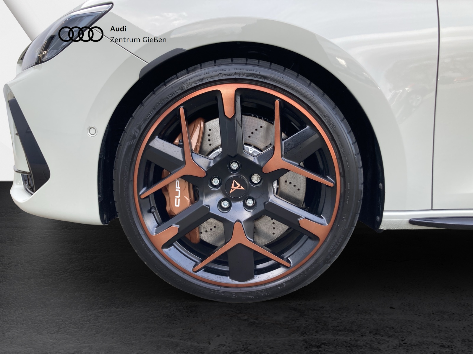 Leon Sportstourer 2.0 TSI VZ Extreme AKEBONO Pano AHK Navi