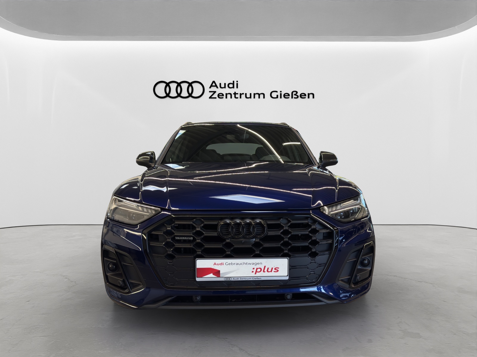 Q5 50 TDI quattro S line Black B&O Matrix 360°Kamera