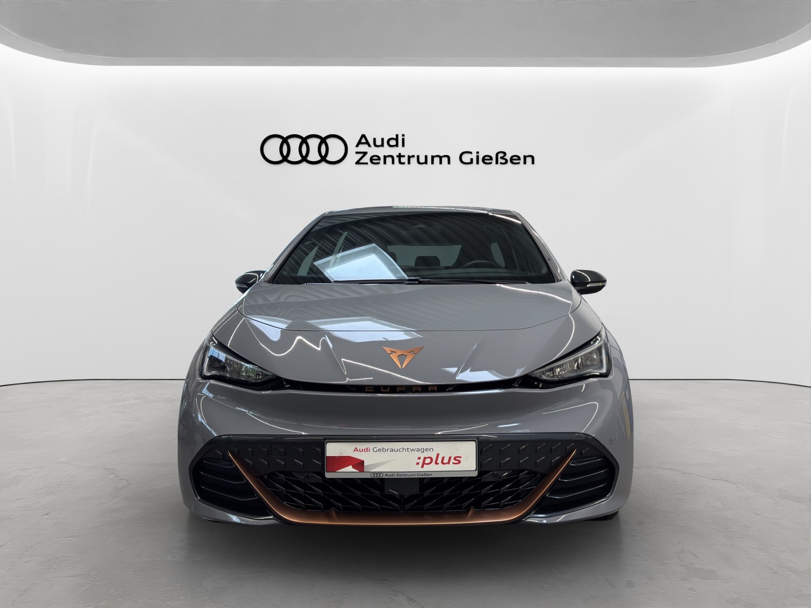 Born 150kW electric ACC LED Navi Kamera