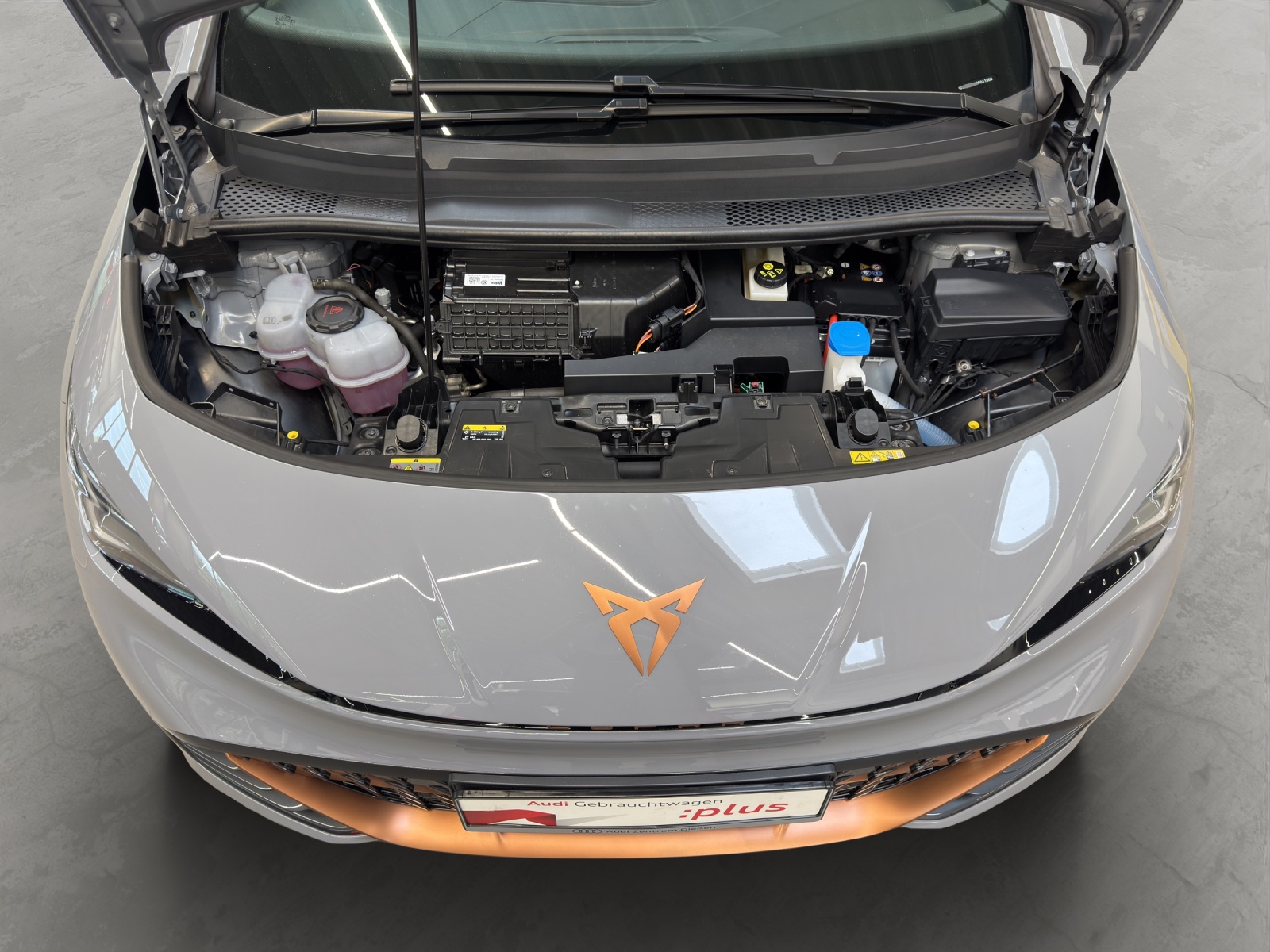 Born 150kW electric ACC LED Navi Kamera