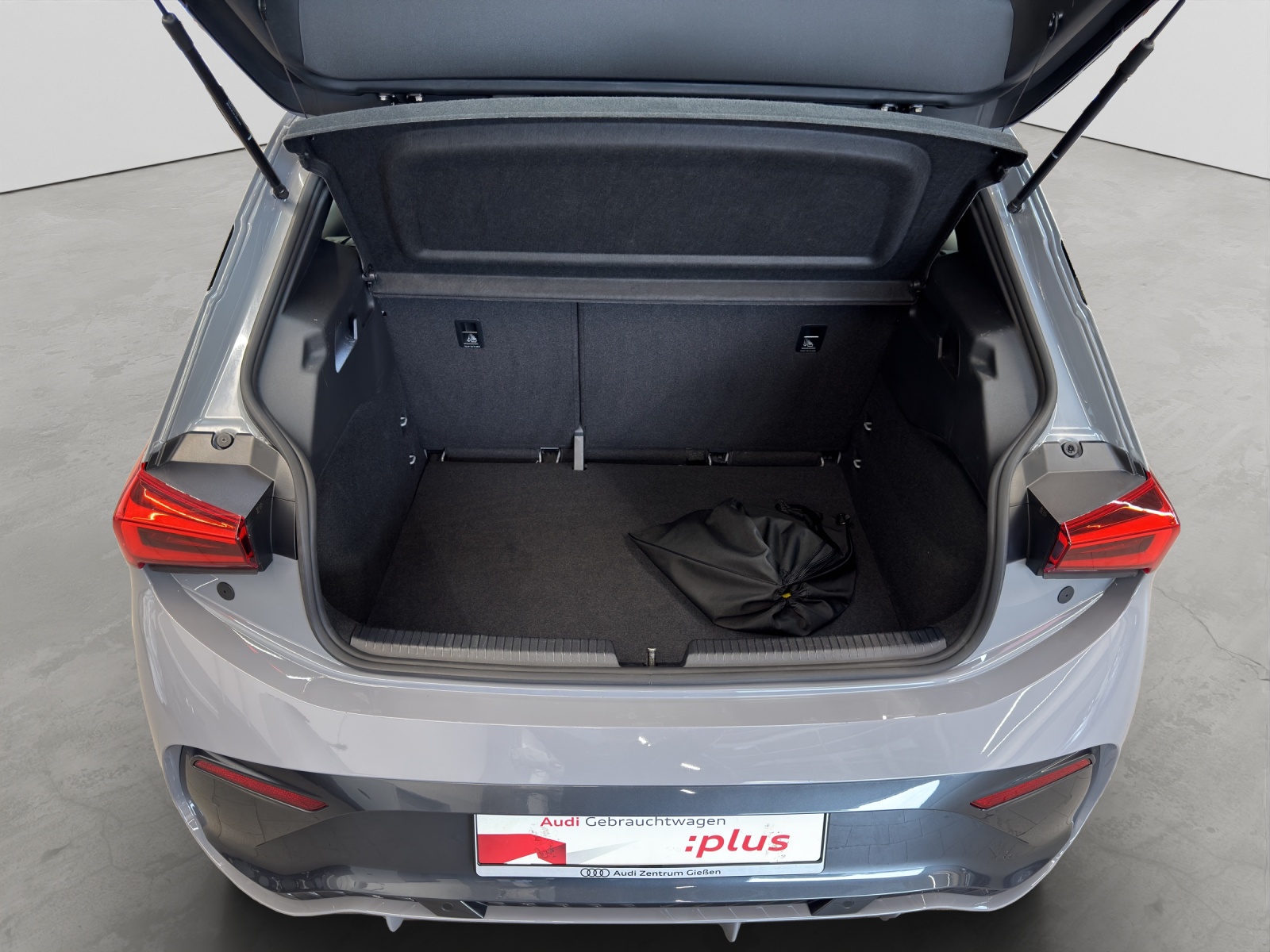 Born 150kW electric ACC LED Navi Kamera