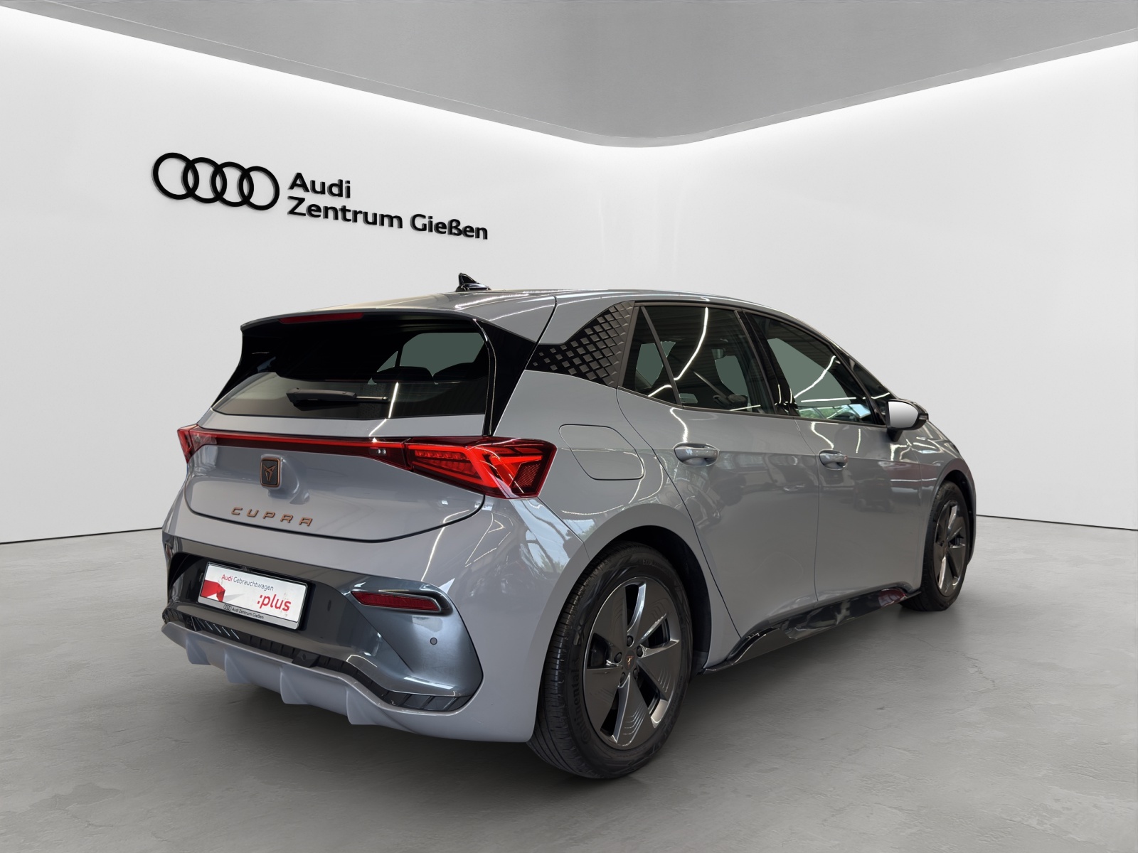 Born 150kW electric ACC LED Navi Kamera