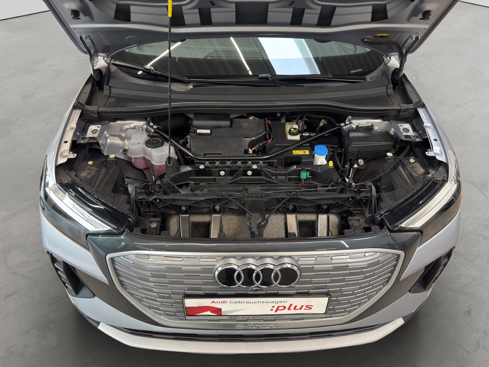 Q4 e-tron Sportback 50 quattro SONOS LED Navi Kamera
