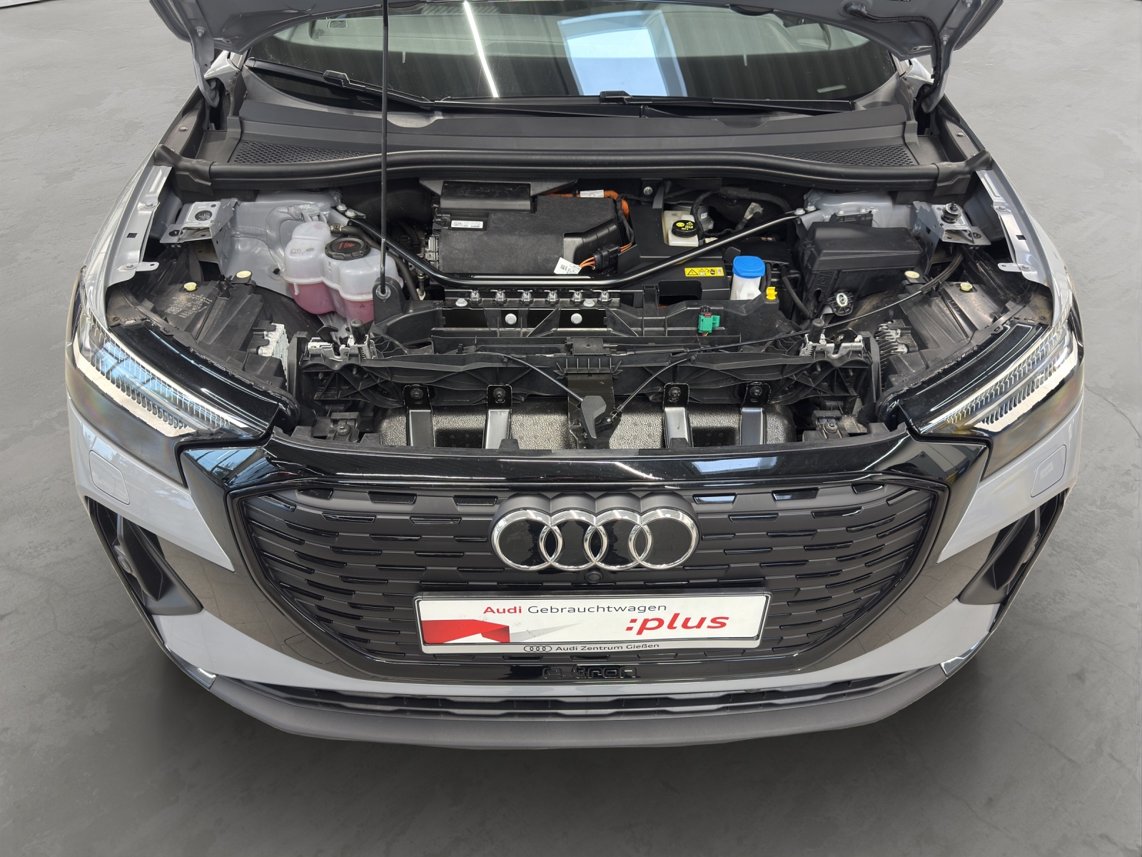 Q4 e-tron 45 quattro S line Black Matrix-LED Kamera Navi