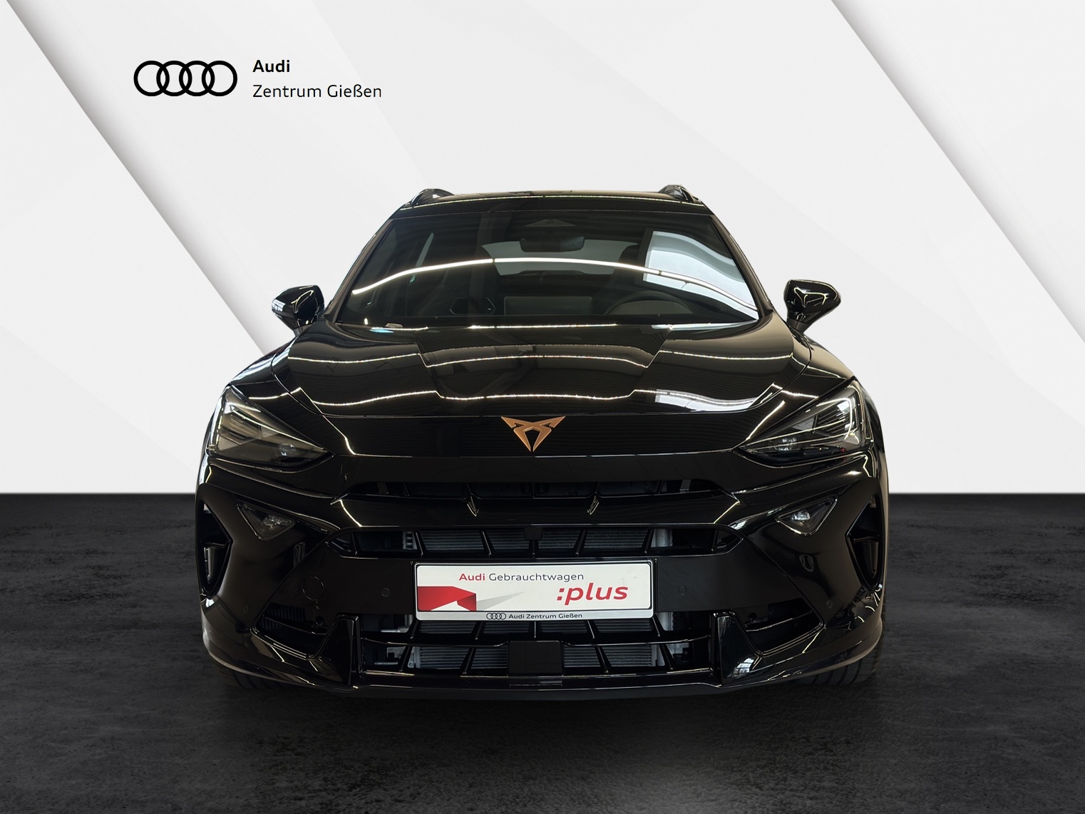 Formentor 2.0 TSI DSG 4Drive VZ AHK DCC ACC LED