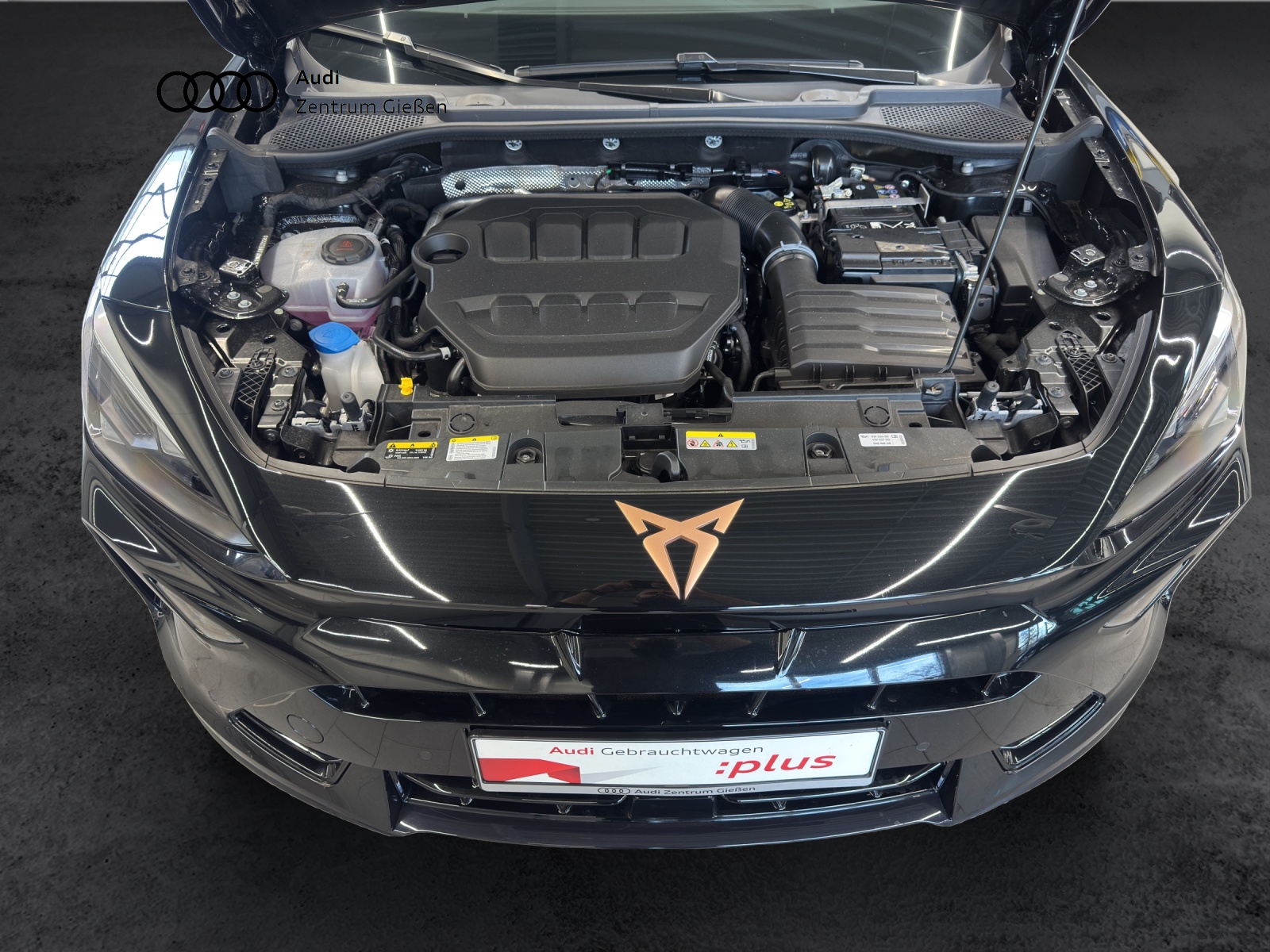 Formentor 2.0 TSI DSG 4Drive VZ AHK DCC ACC LED