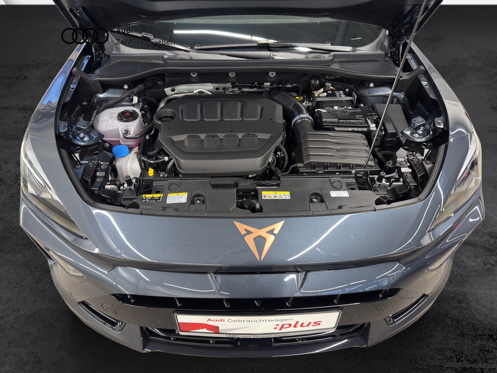 Formentor 2.0 TSI DSG 4Drive VZ AHK DCC ACC LED