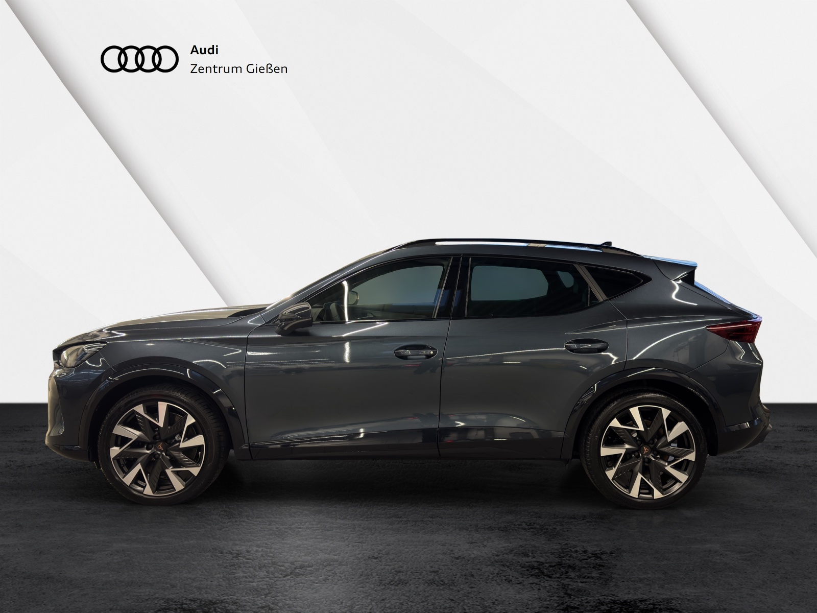 Formentor 2.0 TSI DSG 4Drive VZ AHK DCC ACC LED