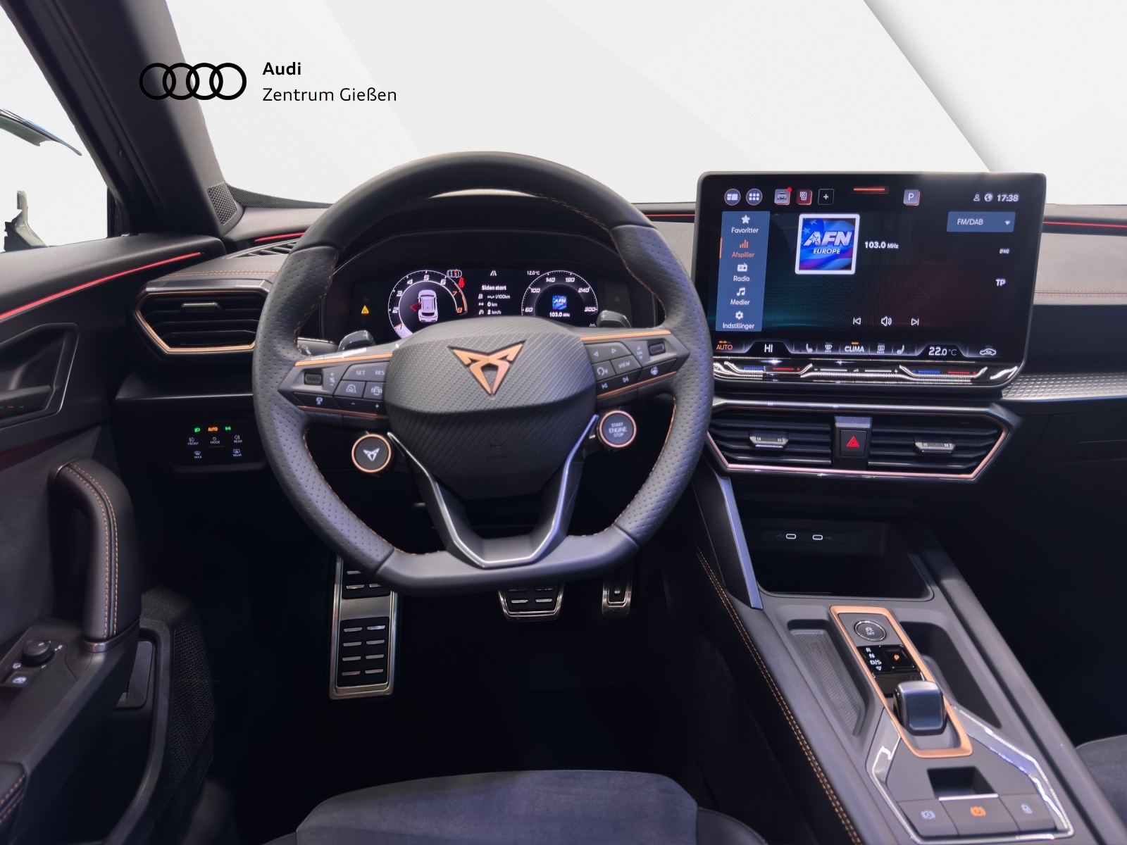 Formentor 2.0 TSI DSG 4Drive VZ AHK DCC ACC LED