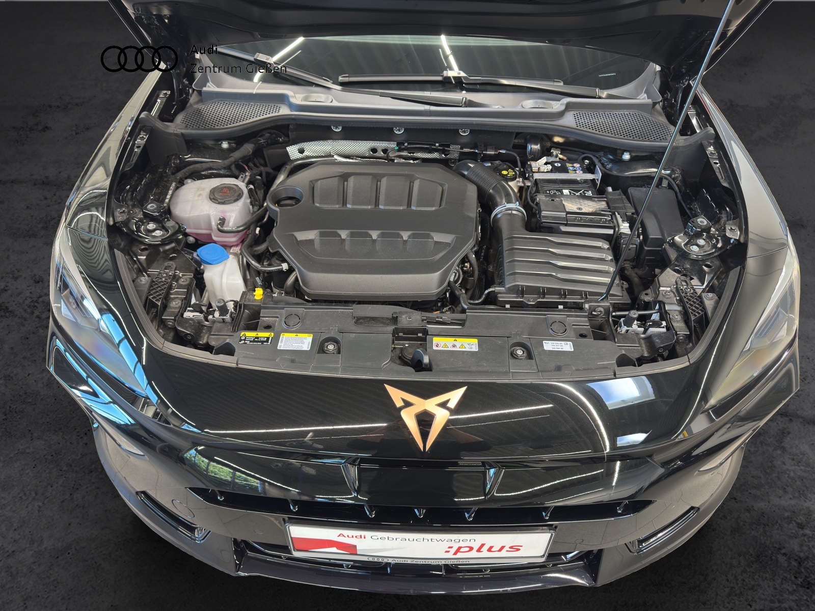 Formentor 2.0 TSI 4Drive DSG VZ PANO ACC DCC SANDSTORM