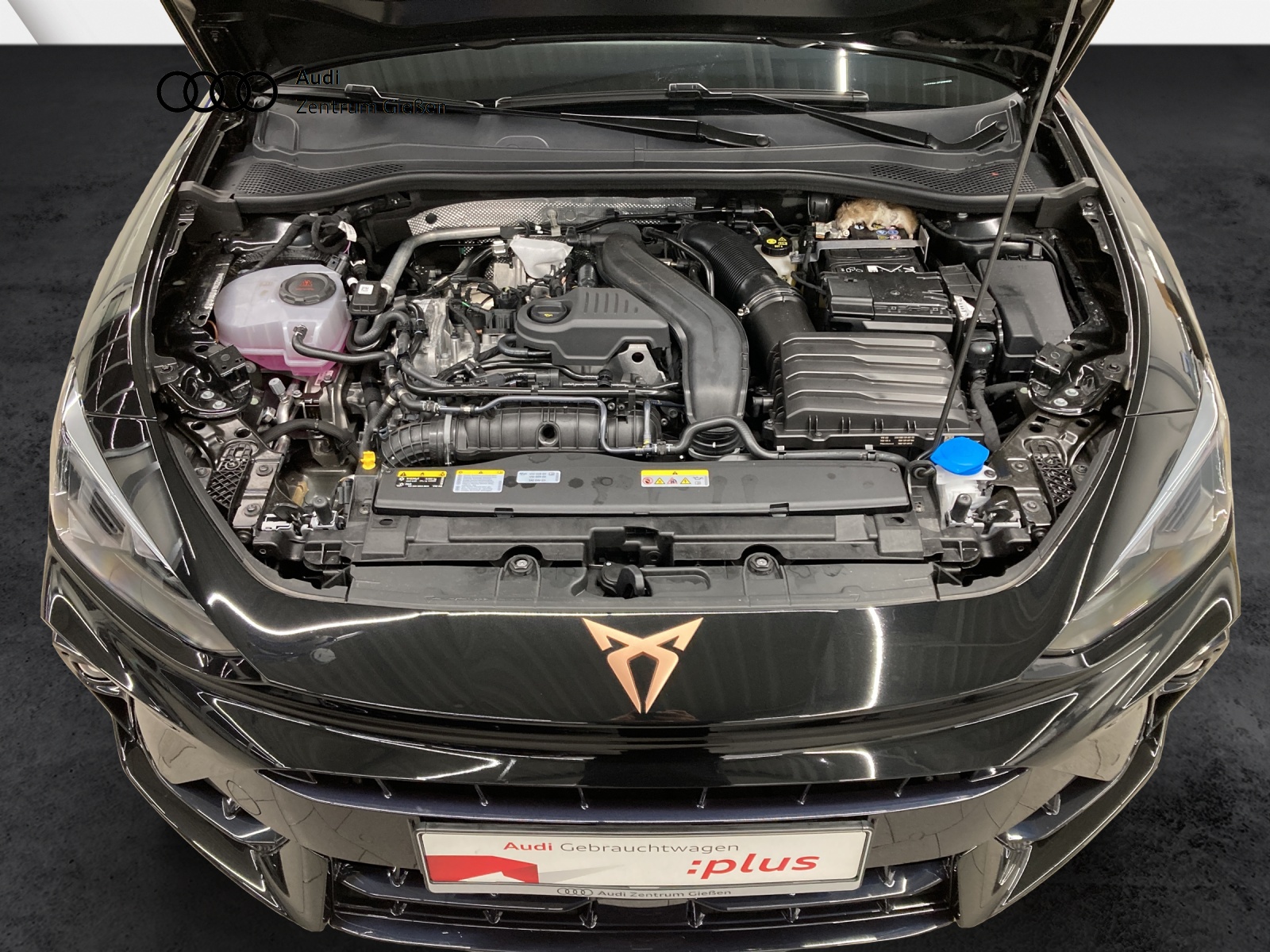 Leon Sportstourer 1.5 eTSI Edge AHK ACC Kamera