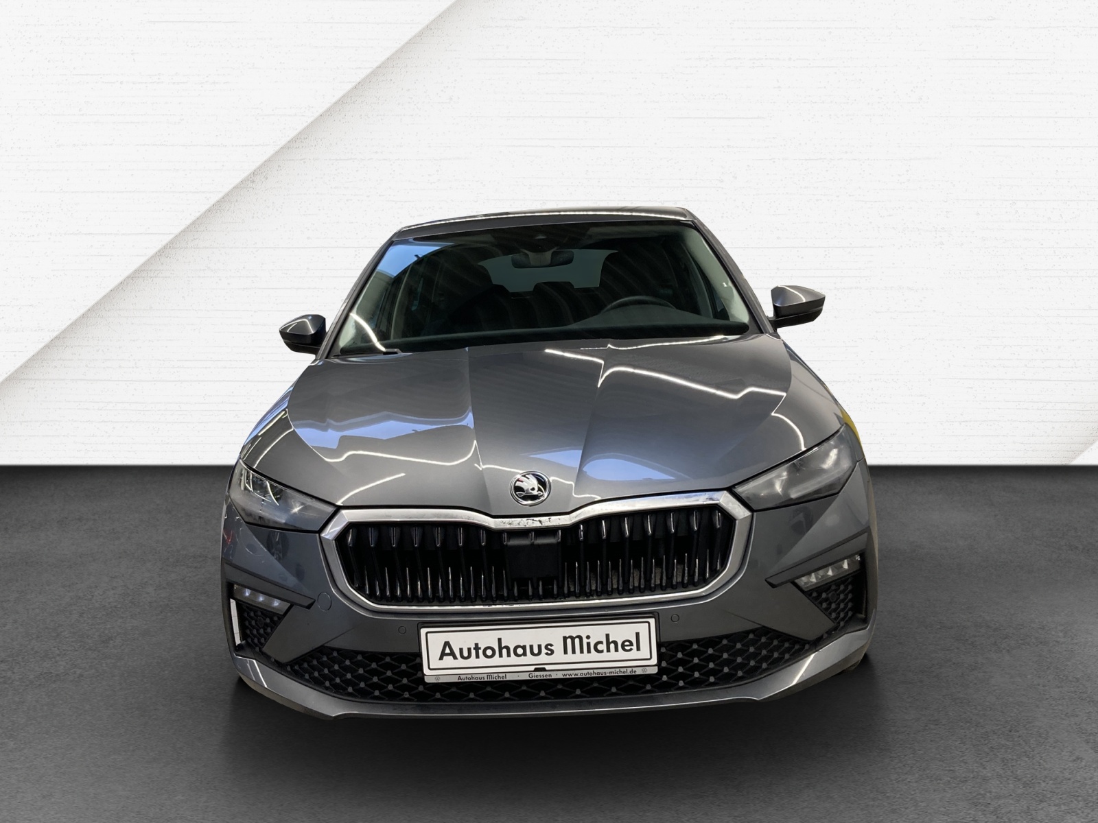 Scala TSI DSG Selection Drive LED-Matrix Kamera Smart Link