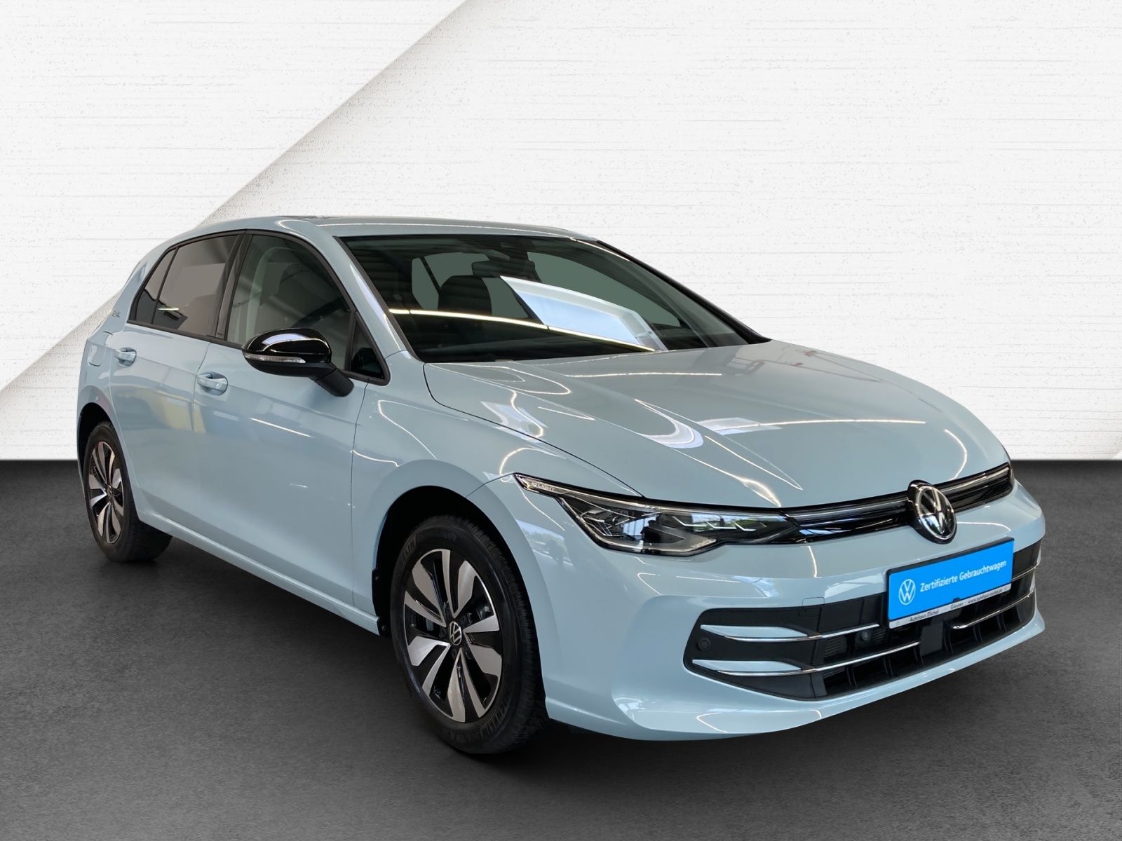 Golf VIII 1.5 TSI Goal IQ-Light Navi TravelAssist