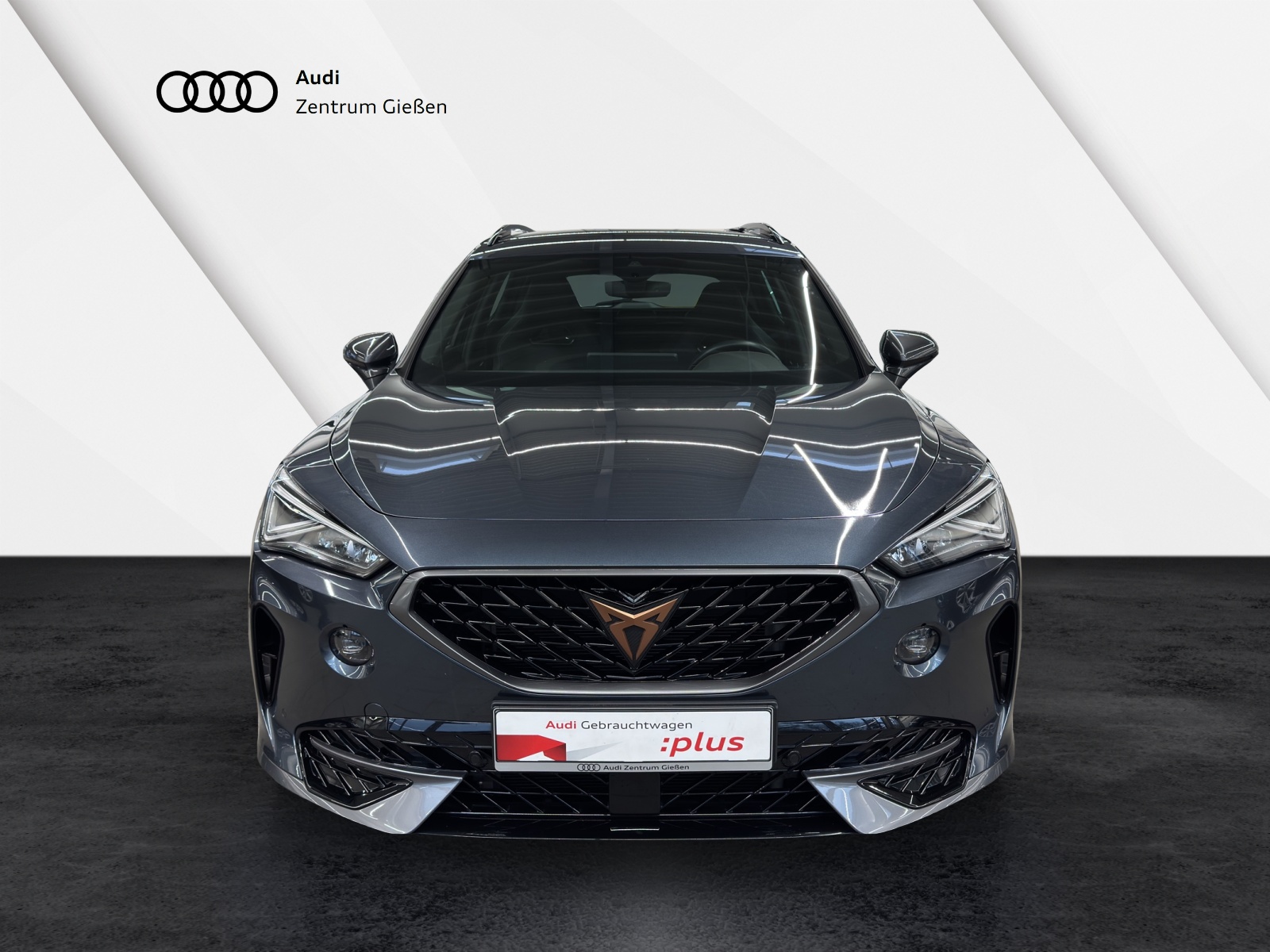 Formentor 2.0 TSI DSG VZ ACC DCC BEATS LED NAVI KAMERA