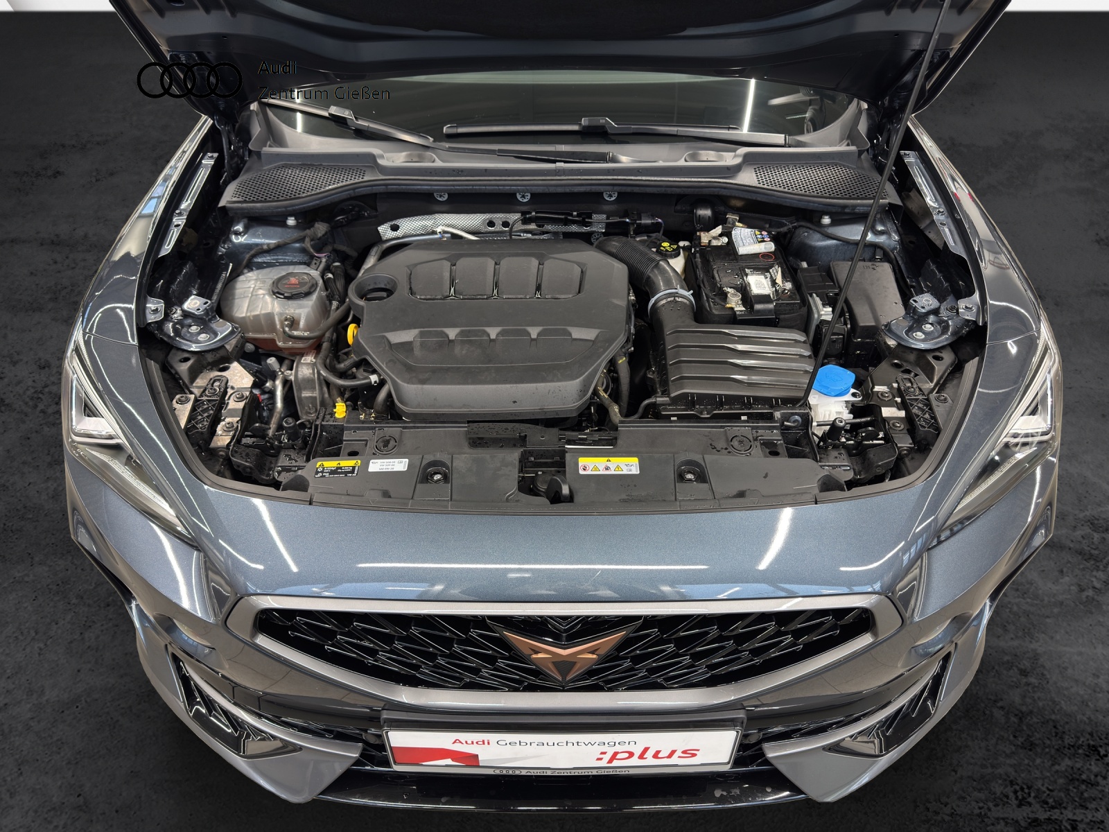 Formentor 2.0 TSI DSG VZ ACC DCC BEATS LED NAVI KAMERA