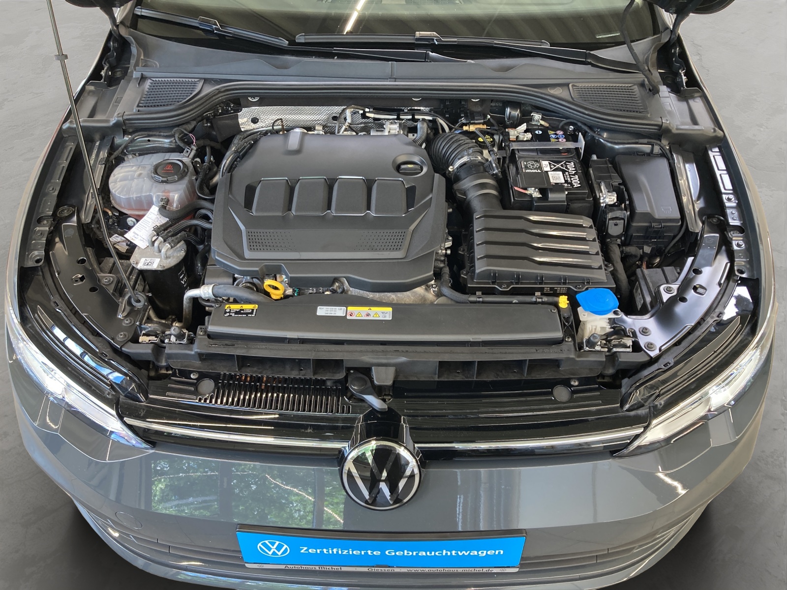 Golf 8 Variant TDI Life LED Navi TravelAssist Kamera