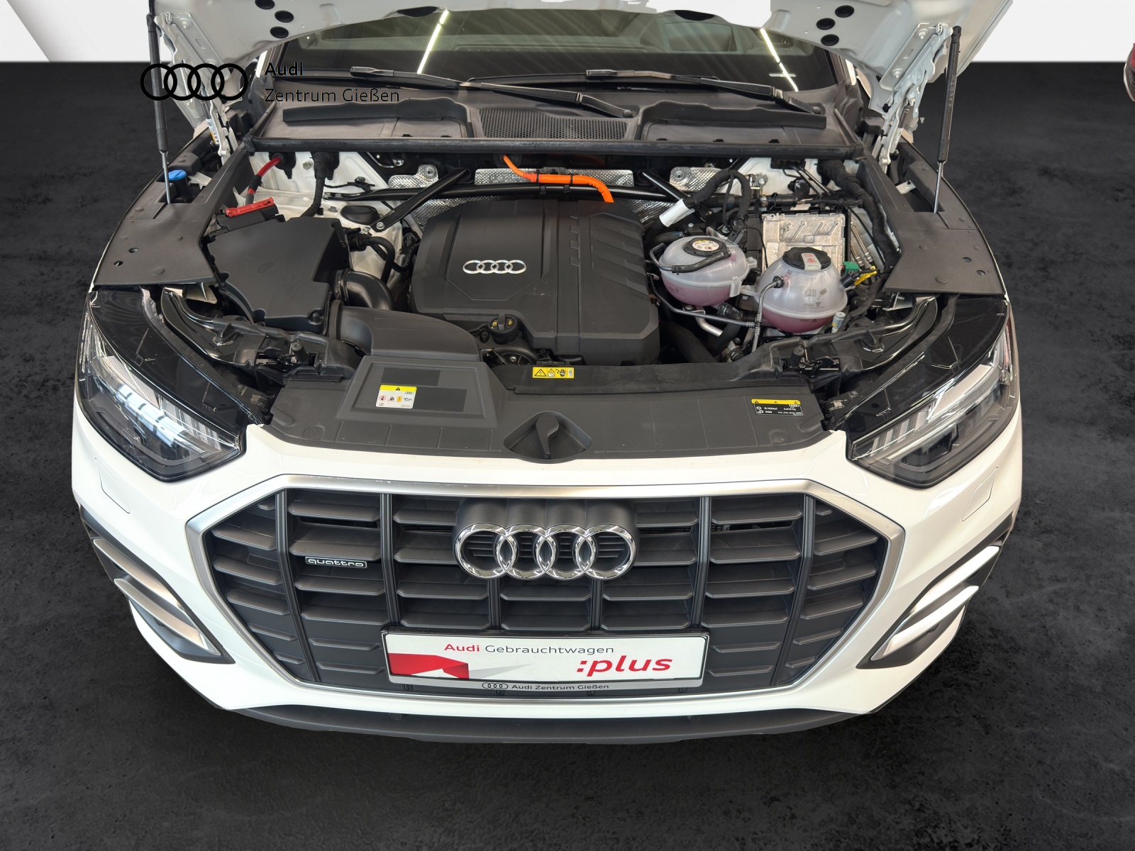 Q5 50 TFSI e quattro S line AHK Matrix HuD B&O