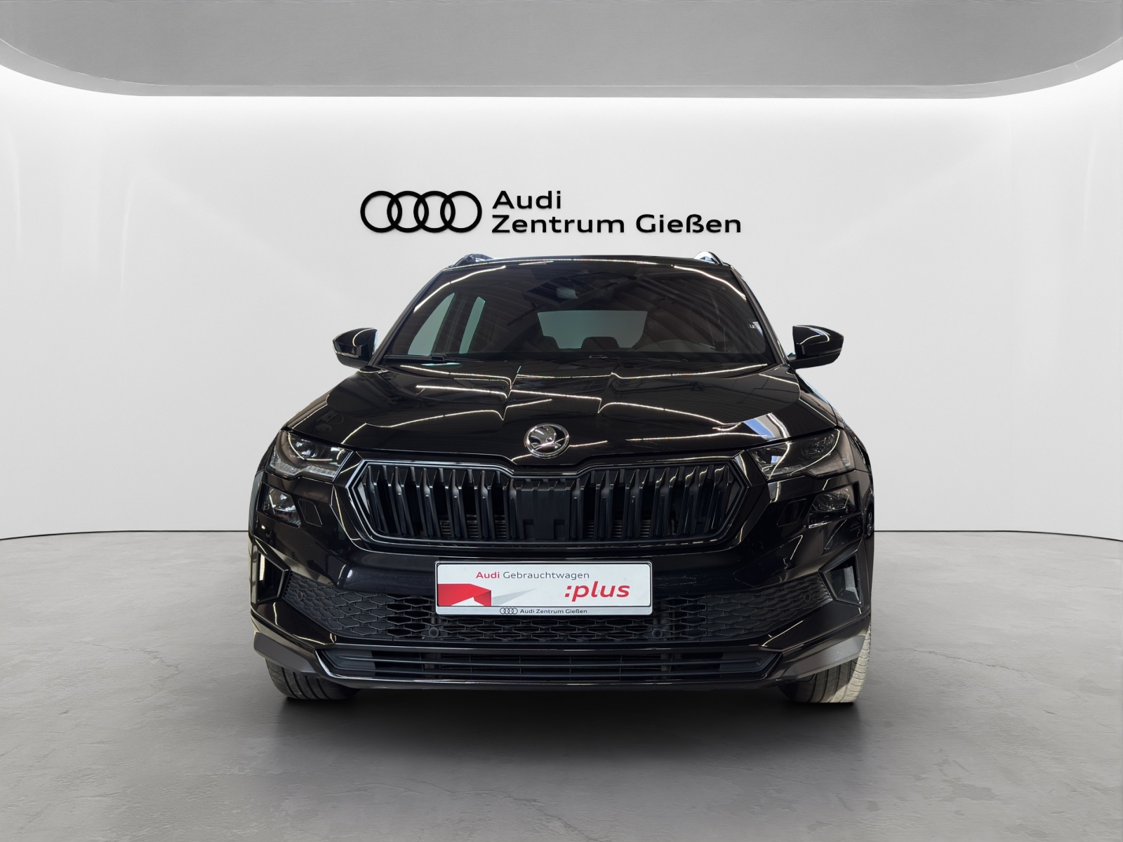 Karoq TSI DSG 4x4 Sportline Pano CANTON Matrix-LED Kamera