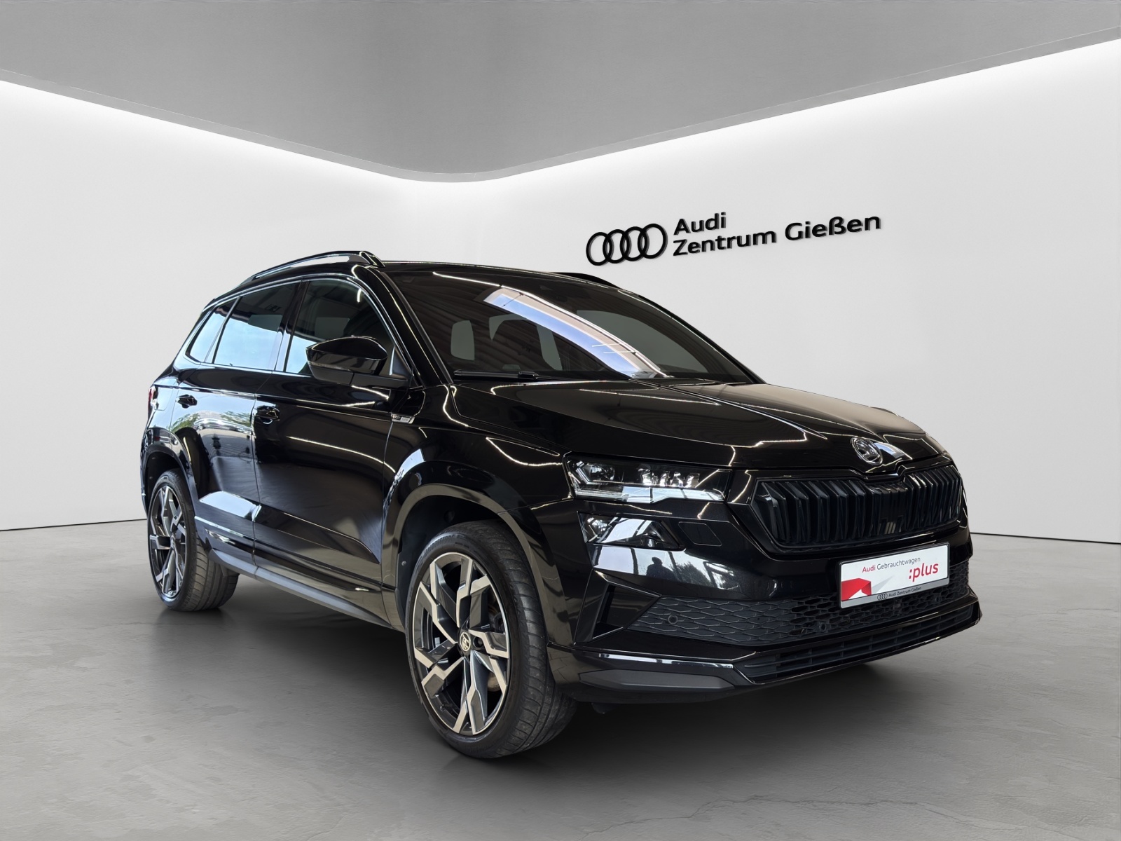 Karoq TSI DSG 4x4 Sportline Pano CANTON Matrix-LED Kamera